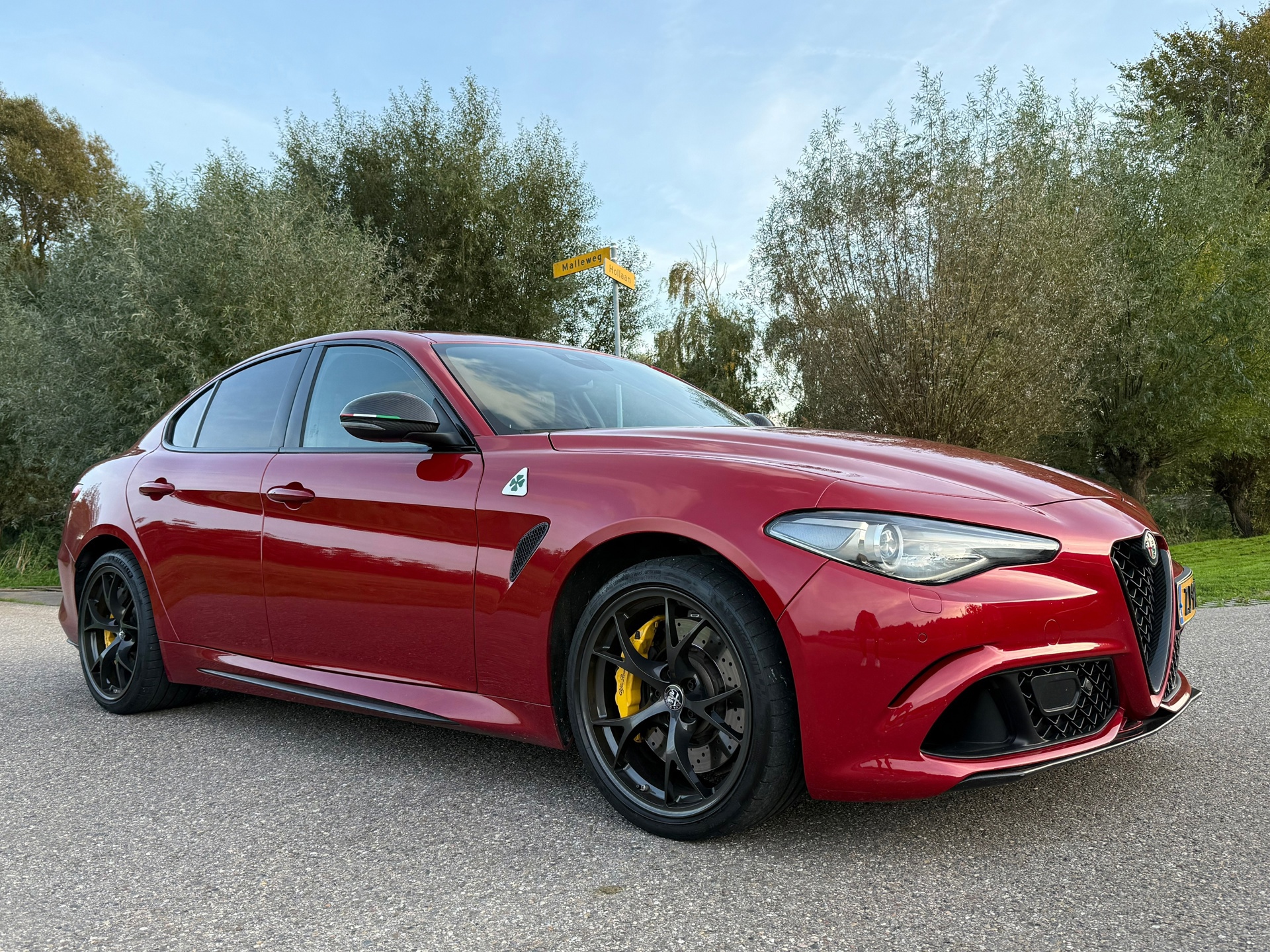 Alfa Romeo Giulia 2.9 V6 Quadrifoglio (2018), foto 19
