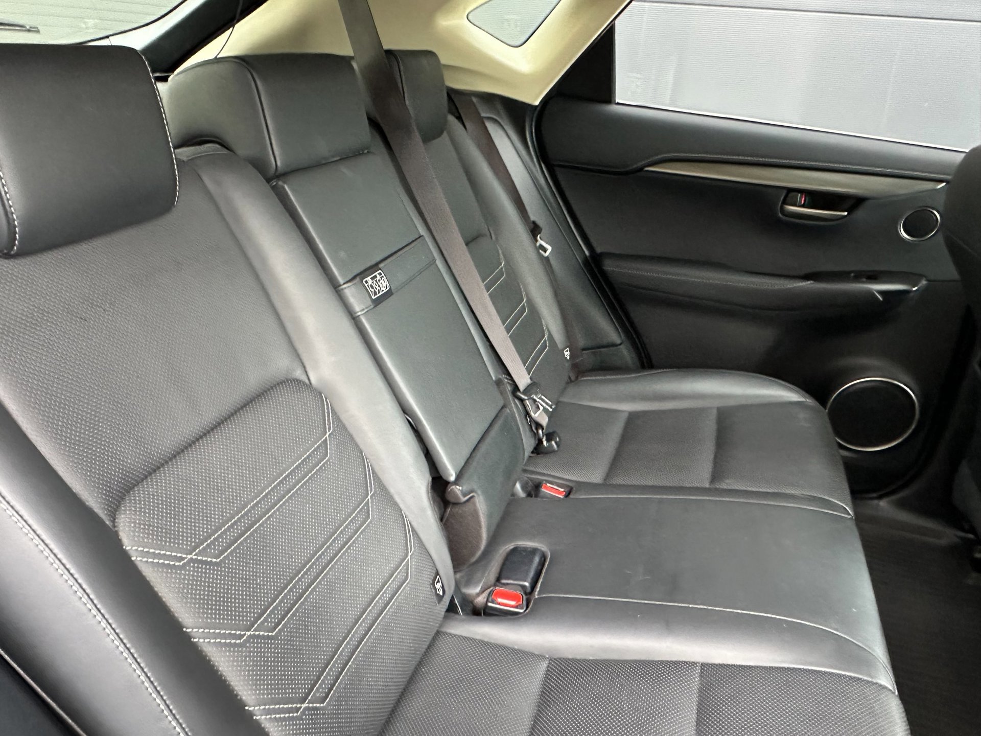 Lexus NX 300h AWD Luxury Line (2017), foto 15