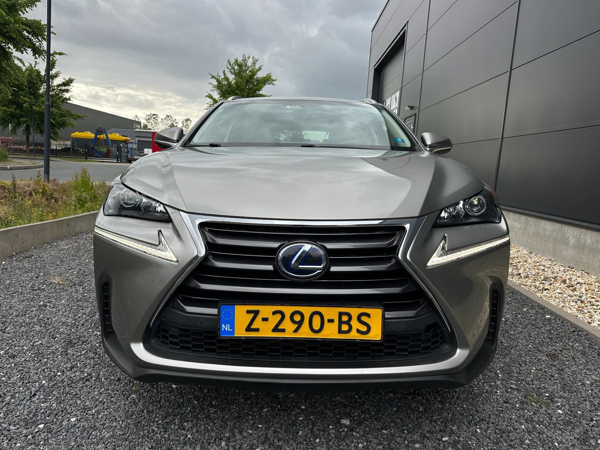 Lexus NX 300h AWD Luxury Line (2017), foto 9