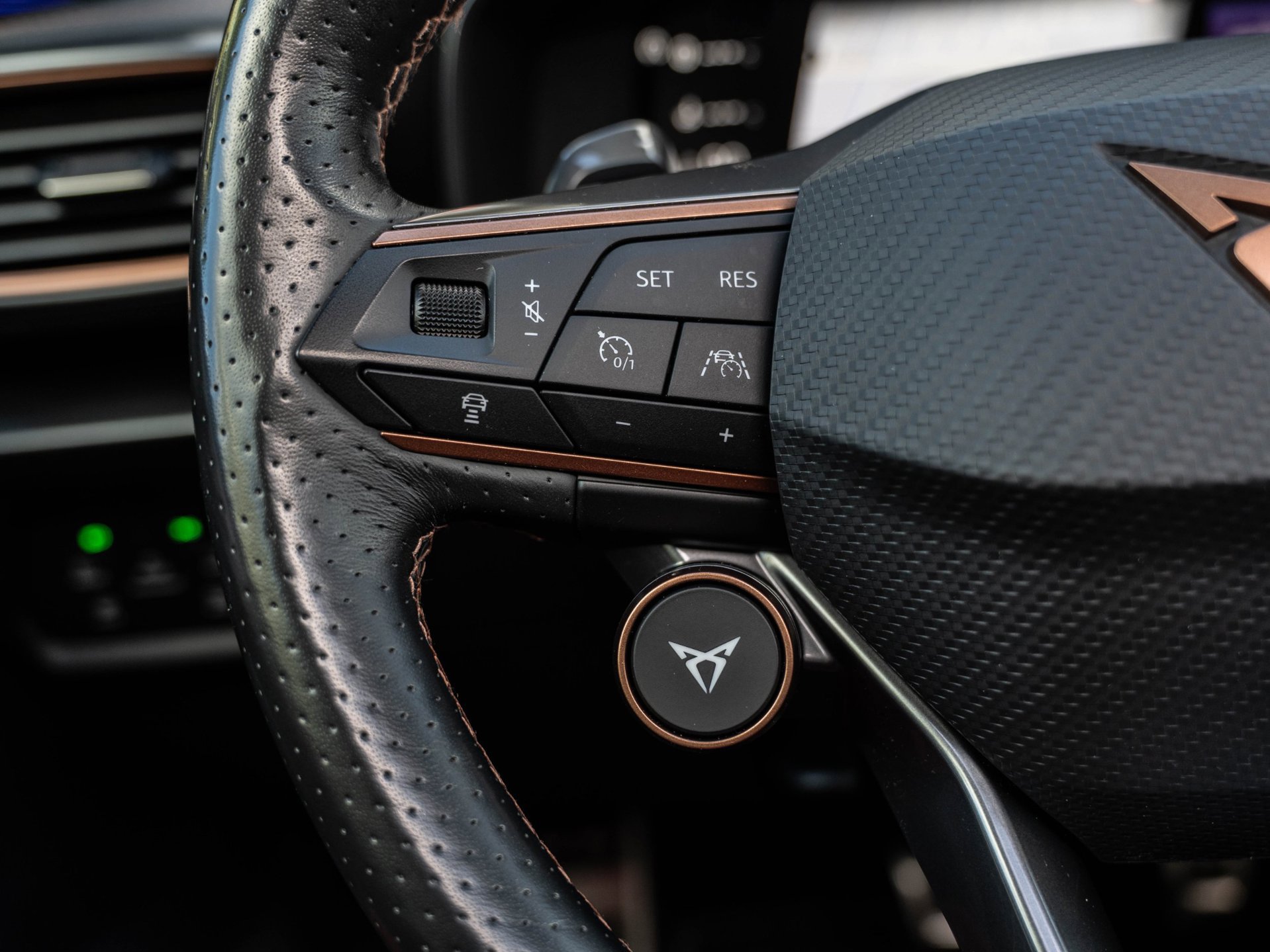 CUPRA Formentor 2.0 TSI 4DRIVE (2022), foto 19