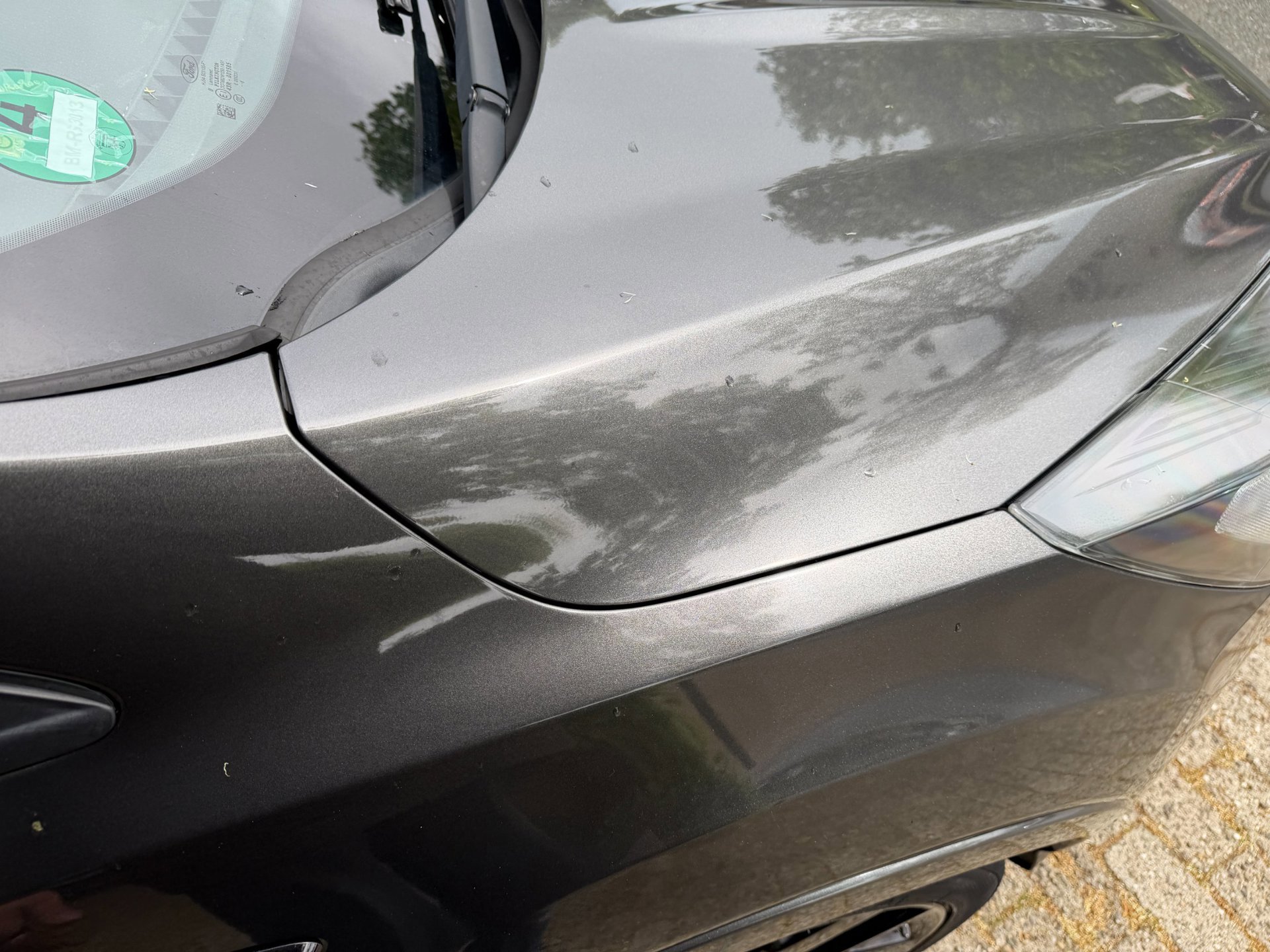 Ford Kuga 1.5 EcoBoost ST Line 95.595 (2018), foto 168