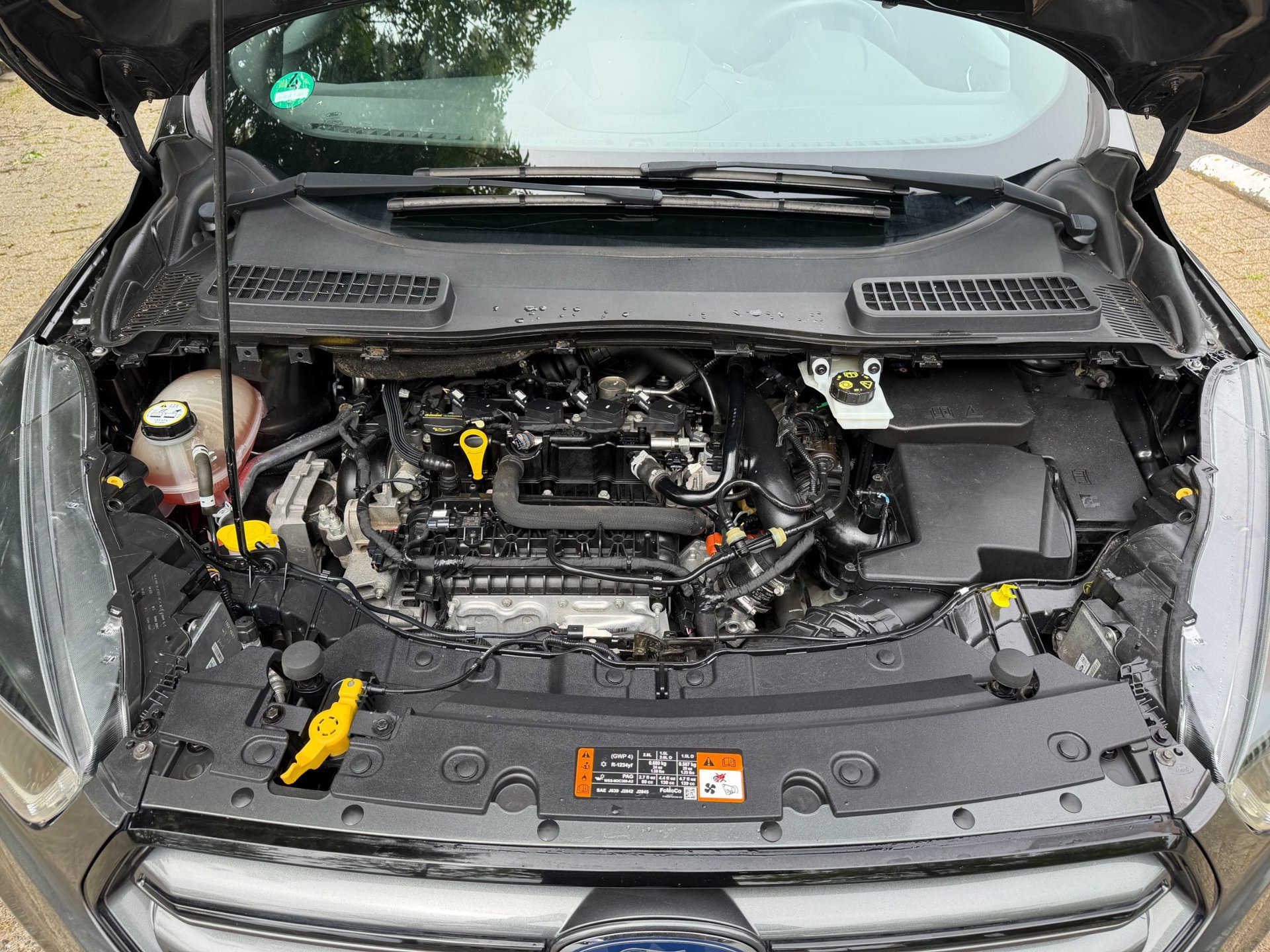 Ford Kuga 1.5 EcoBoost ST Line 95.595 (2018), foto 71