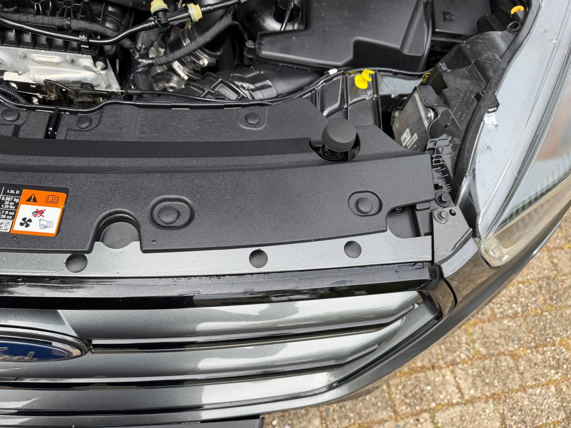 Ford Kuga 1.5 EcoBoost ST Line 95.595 (2018), foto 75