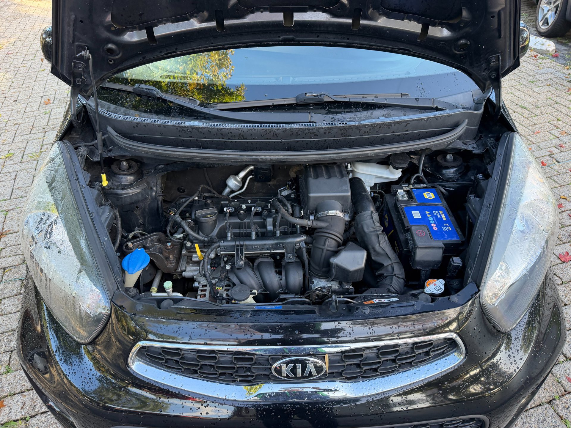 Kia Picanto 1.0 CVVT DynamicLine (2016), foto 82