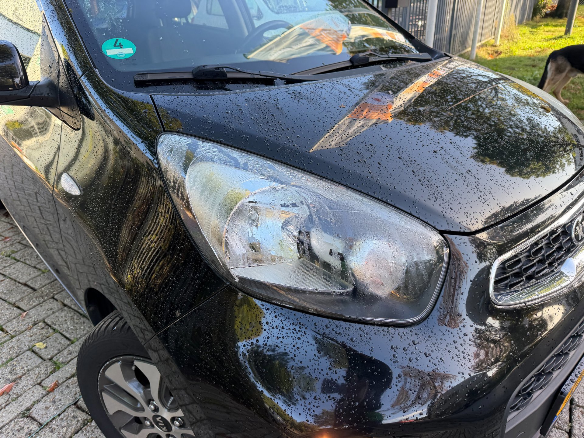 Kia Picanto 1.0 CVVT DynamicLine (2016), foto 95