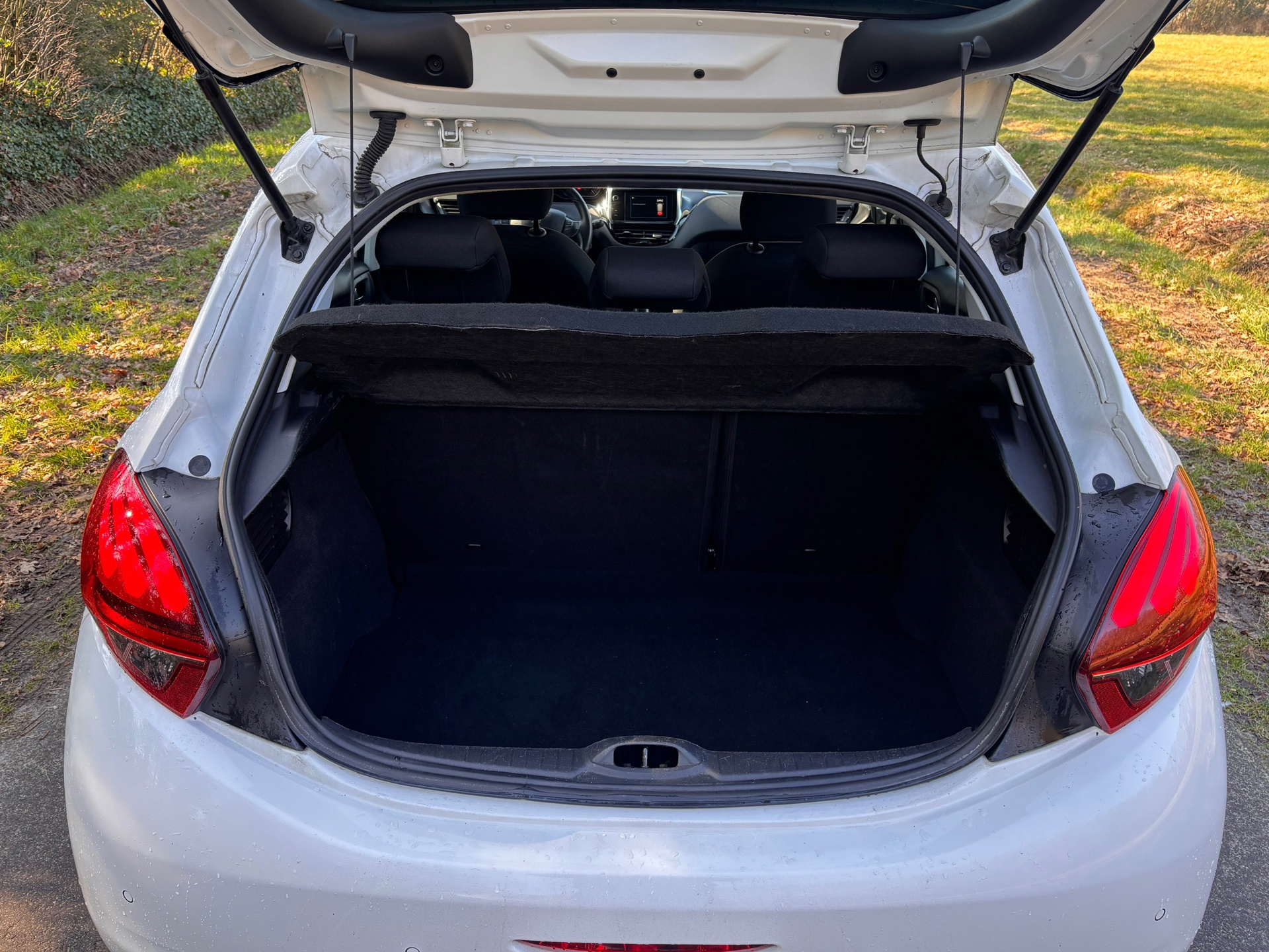 Peugeot 208 1.2 PureTech Signature (2019), foto 11