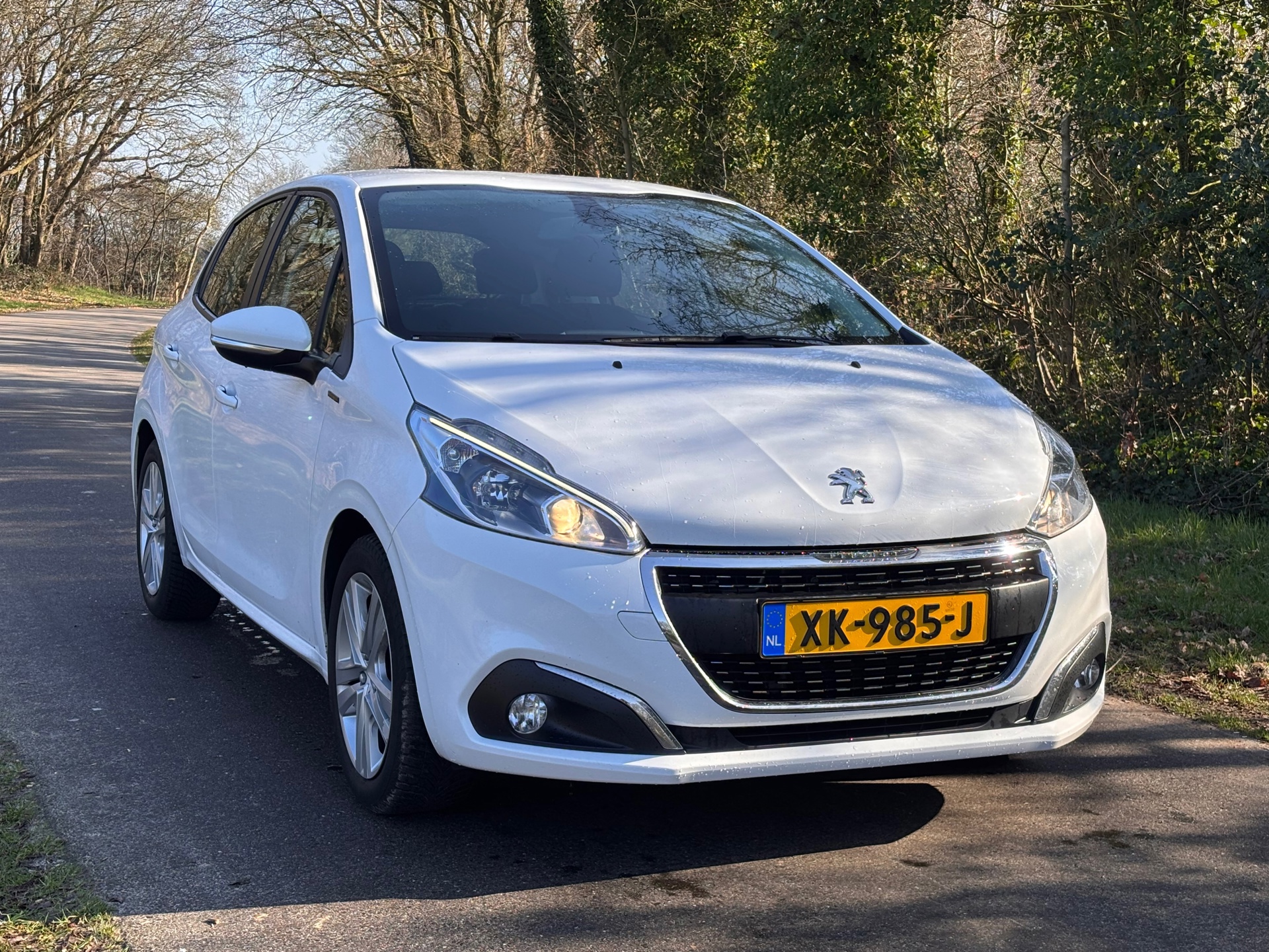 Peugeot 208 1.2 PureTech Signature (2019), foto 7