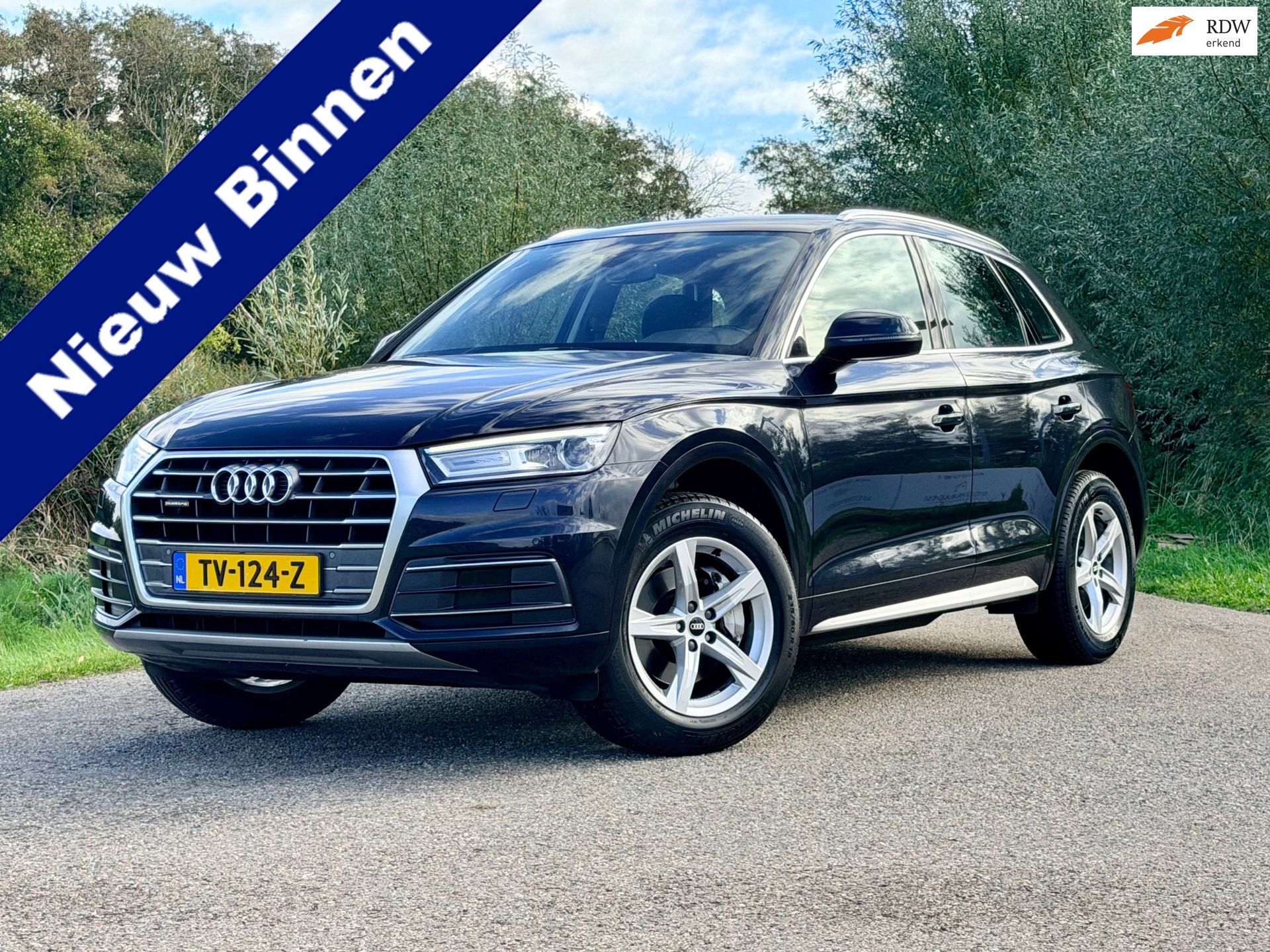 Audi Q5 2.0 TDI quattro Design Pro Line (2017), foto 1
