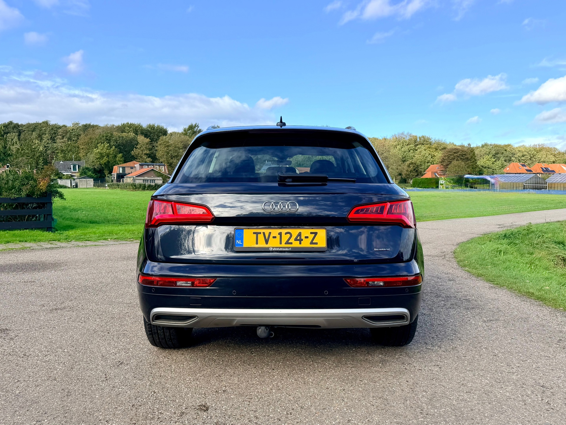 Audi Q5 2.0 TDI quattro Design Pro Line (2017), foto 11