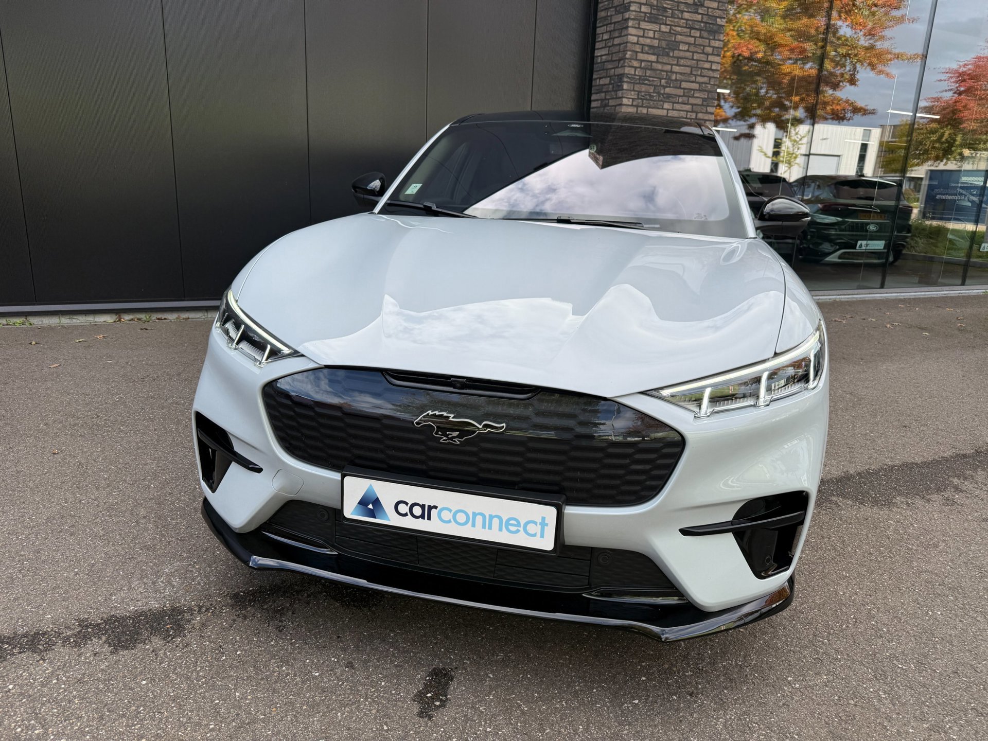 Ford Mustang Mach-E GT Extended AWD 98 kWh (2024), foto 3
