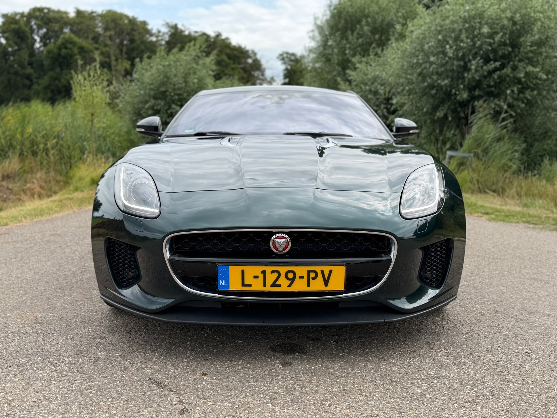 Jaguar F-Type 2.0T R-Dynamic (2018), foto 4