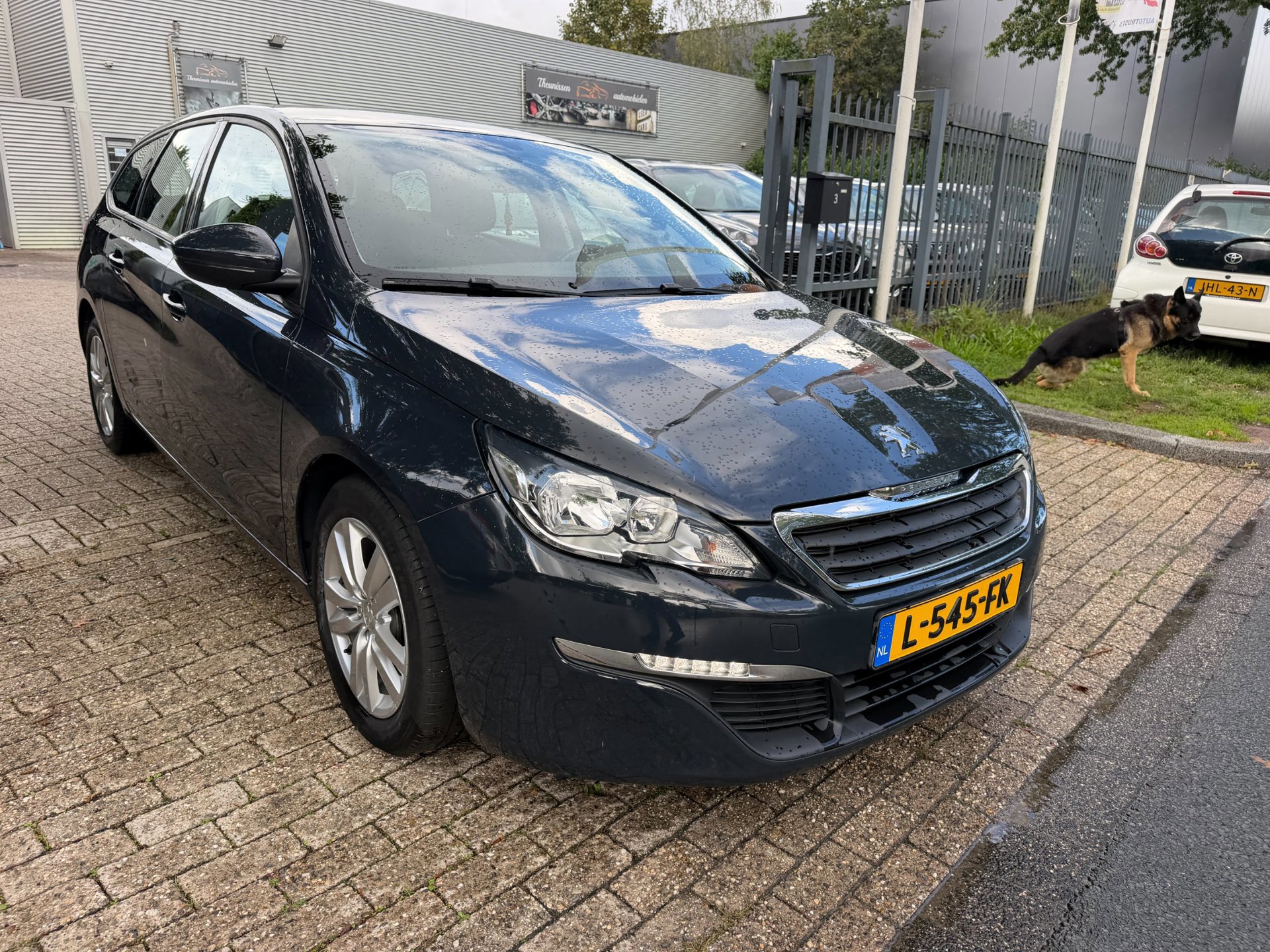 Peugeot 308 SW 1.2 PureTech Blue Lease (2017), foto 2