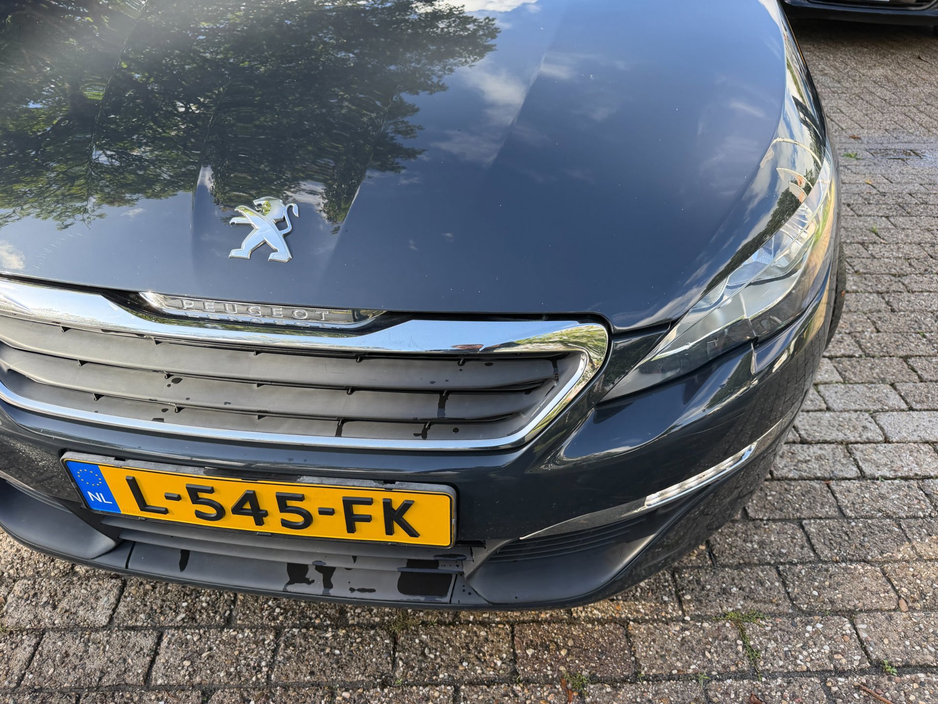 Peugeot 308 SW 1.2 PureTech Blue Lease (2017), foto 103