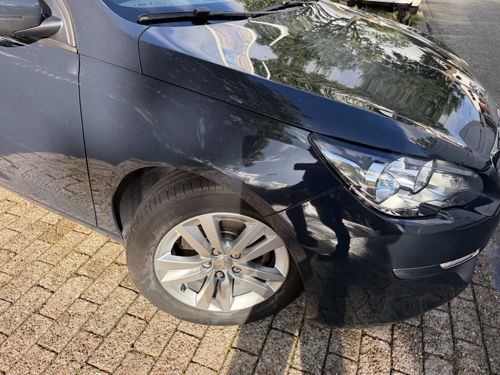 Peugeot 308 SW 1.2 PureTech Blue Lease (2017), foto 107