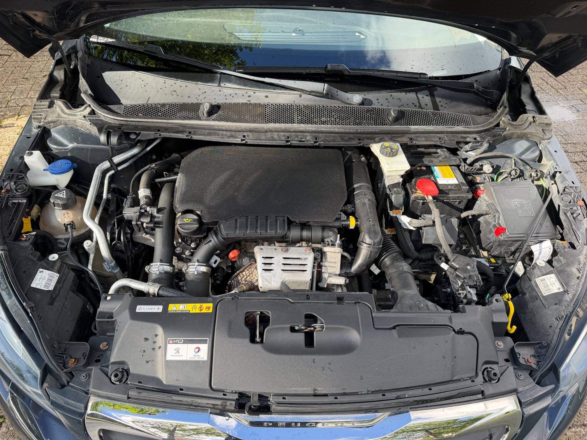Peugeot 308 SW 1.2 PureTech Blue Lease (2017), foto 90