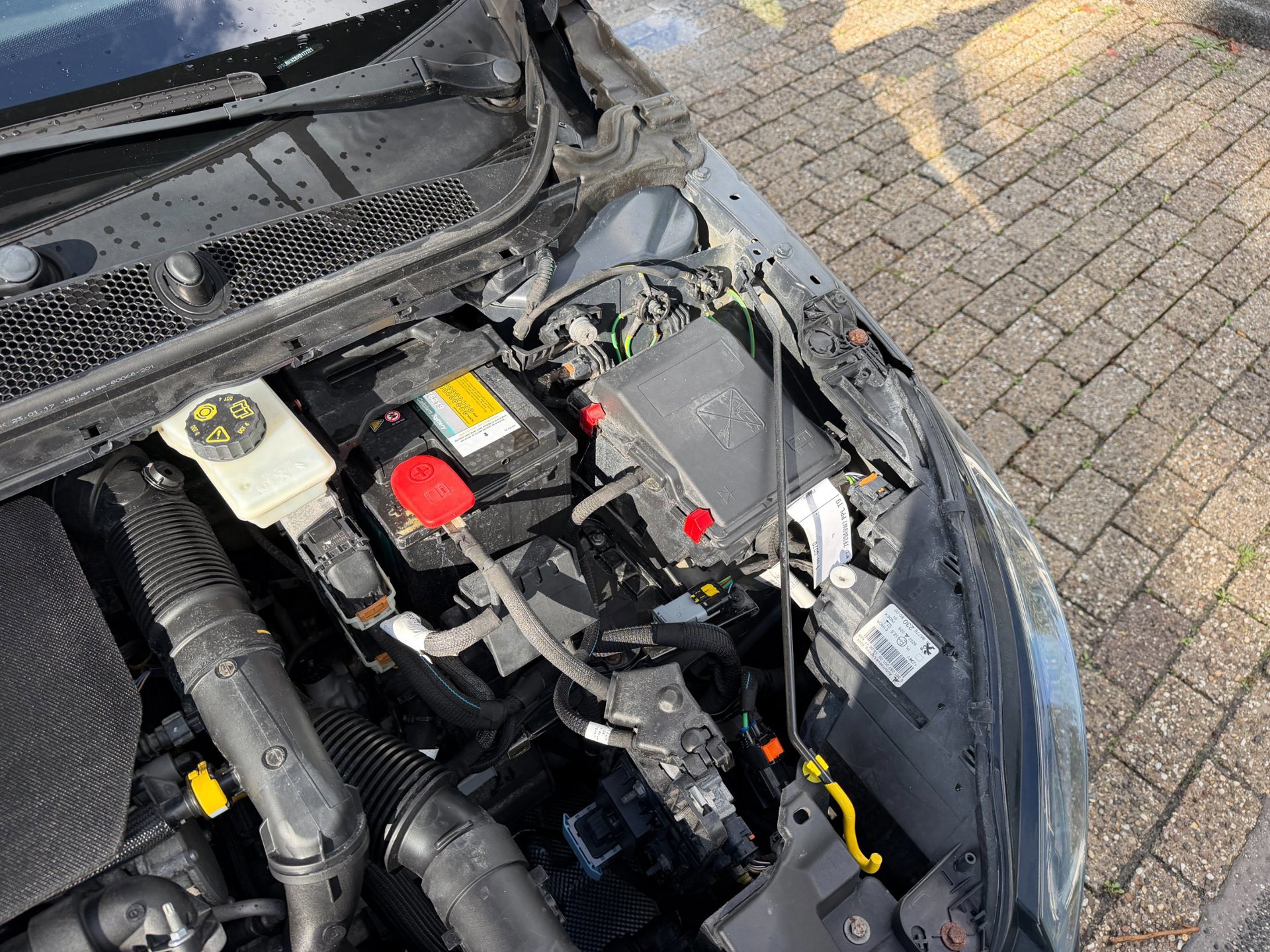 Peugeot 308 SW 1.2 PureTech Blue Lease (2017), foto 93