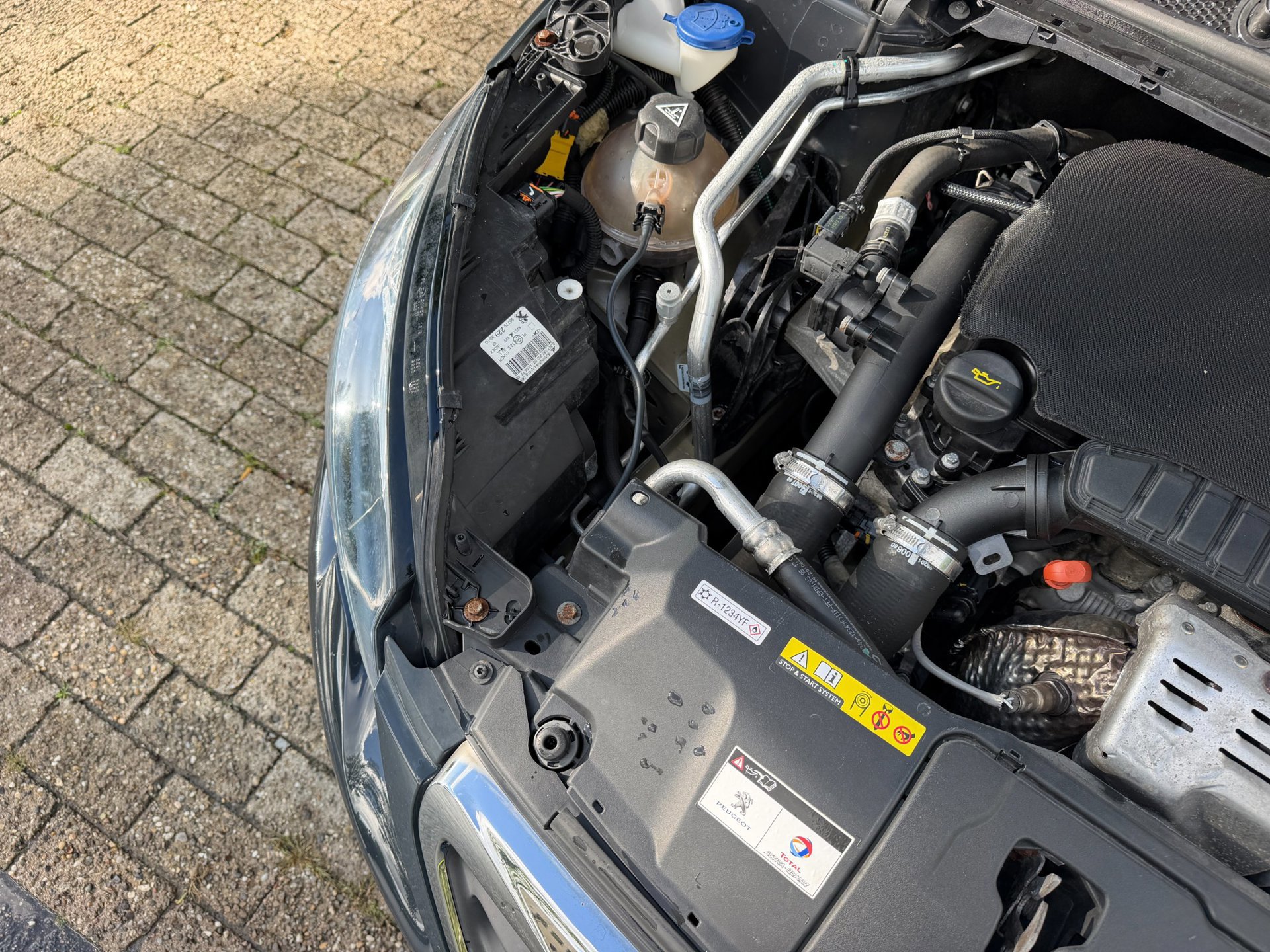 Peugeot 308 SW 1.2 PureTech Blue Lease (2017), foto 96