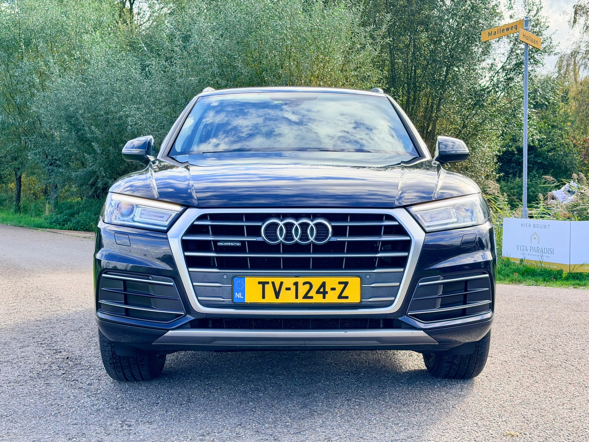 Audi Q5 2.0 TDI quattro Design Pro Line (2017), foto 3