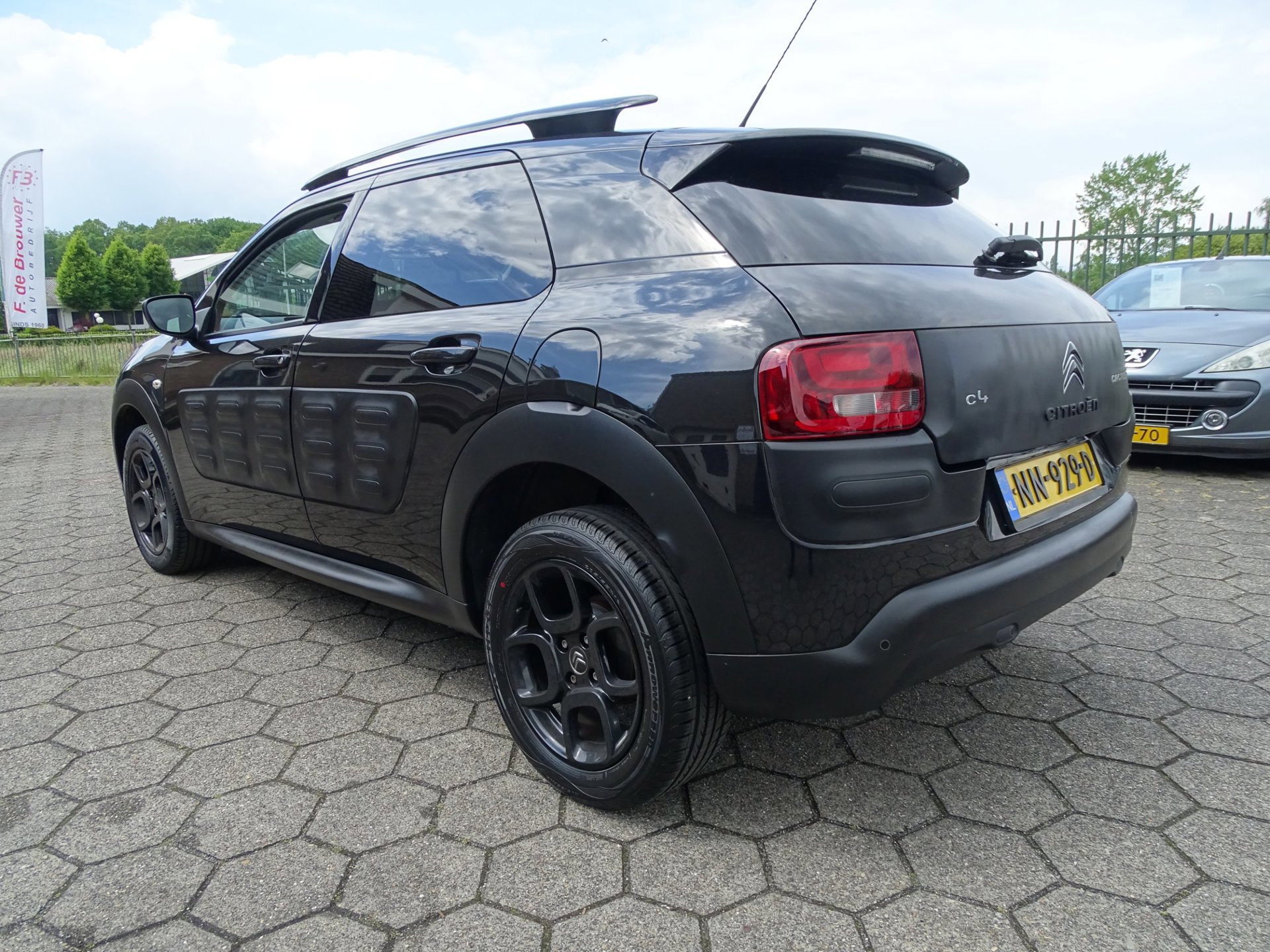 Citroen C4 Cactus 1.2 PureTech Shine (2017), foto 4