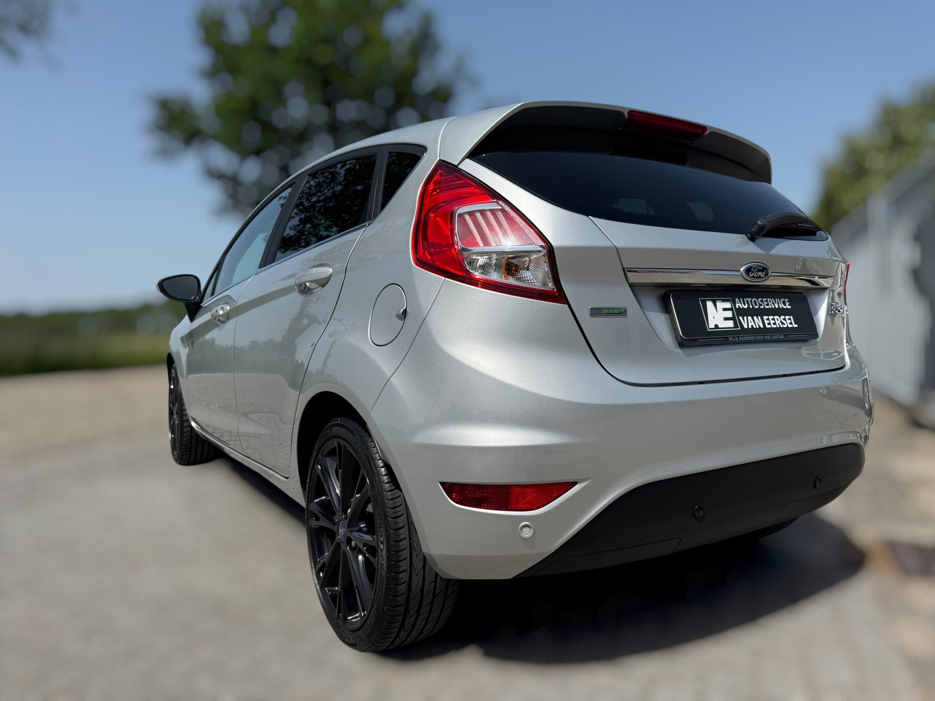 Ford Fiesta 1.0 EcoBoost Titanium 1E (2016), foto 30