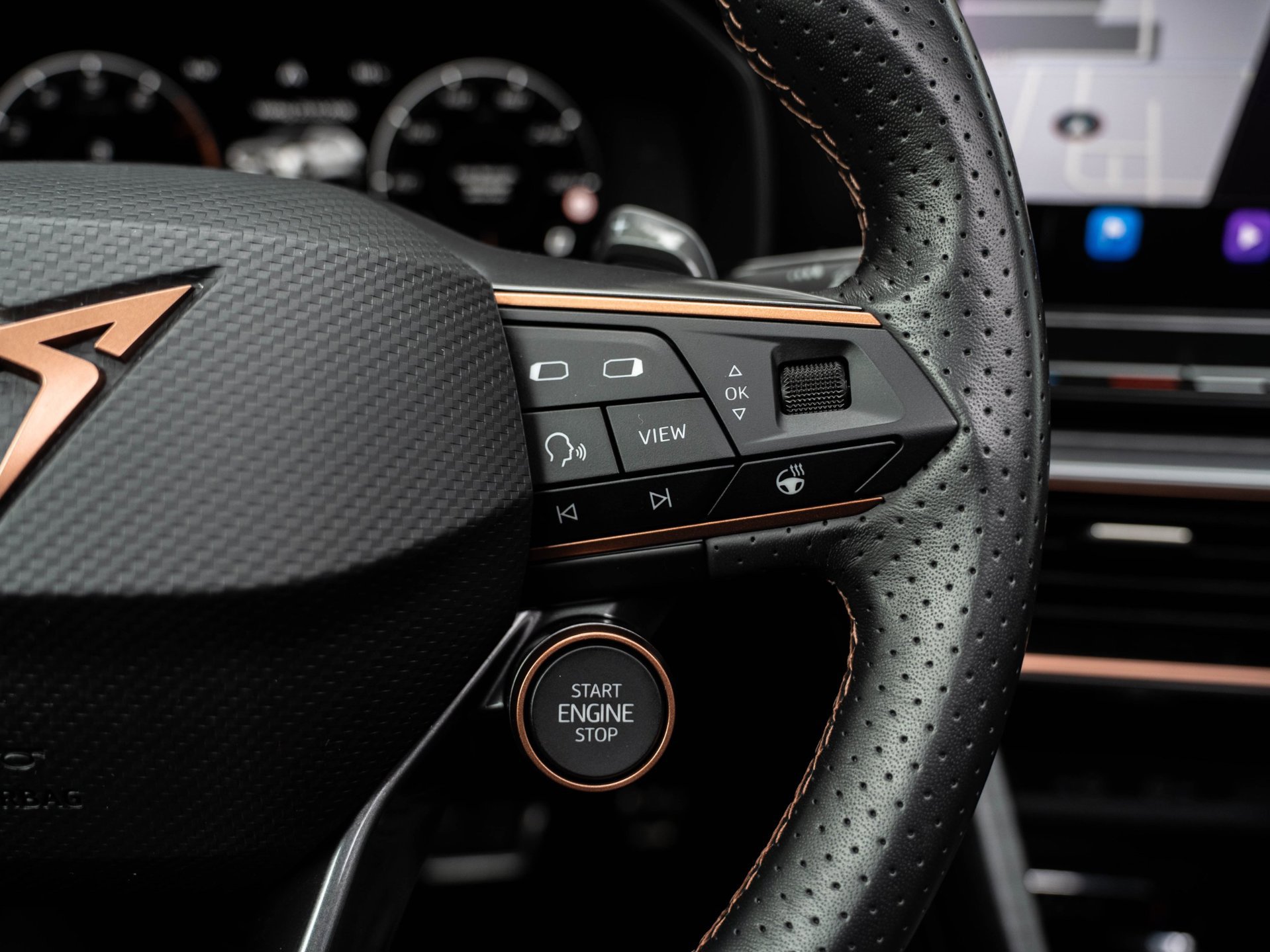 CUPRA Formentor 2.0 TSI 4DRIVE (2021), foto 21