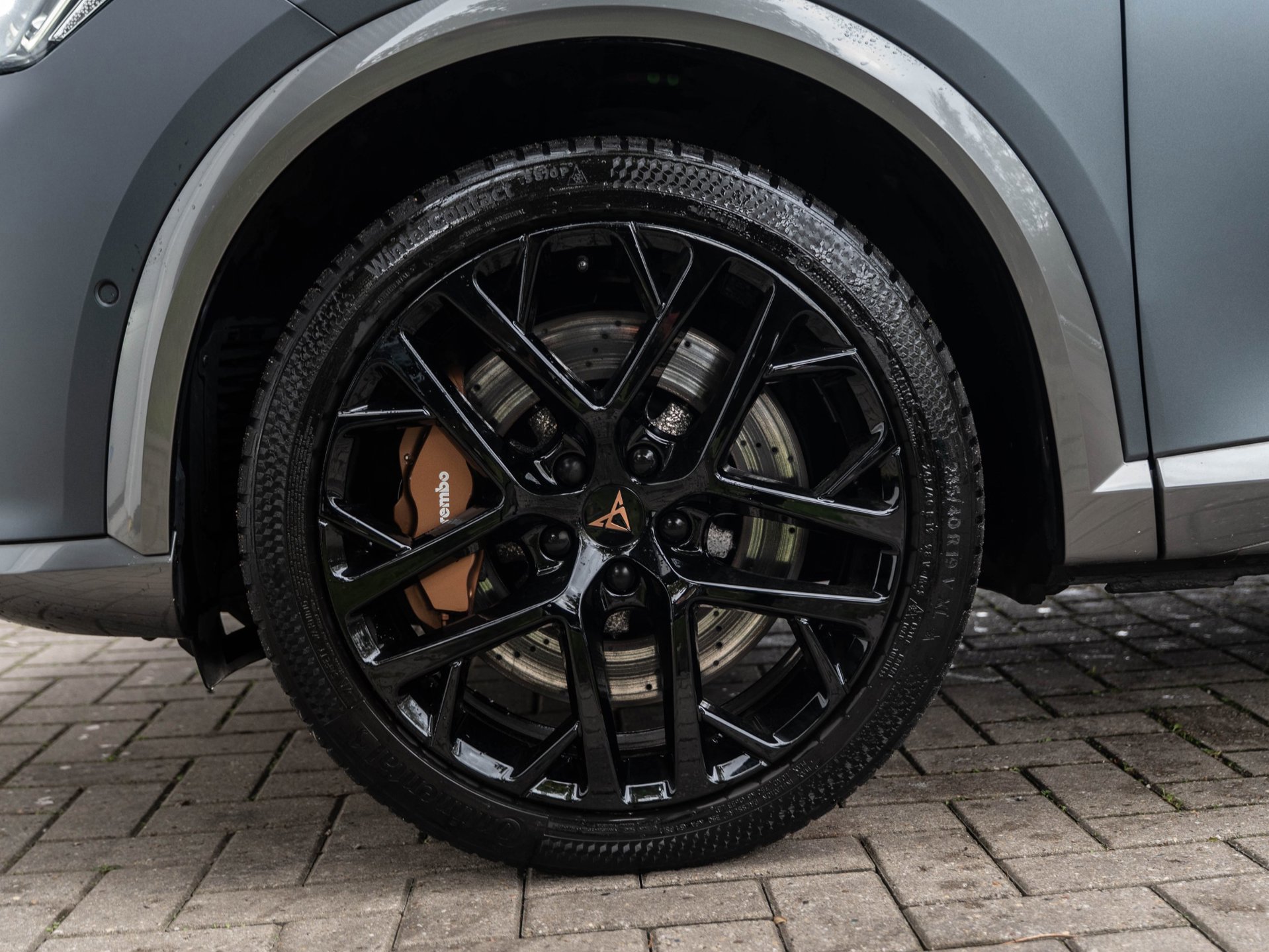 CUPRA Formentor 2.0 TSI 4DRIVE (2021), foto 10