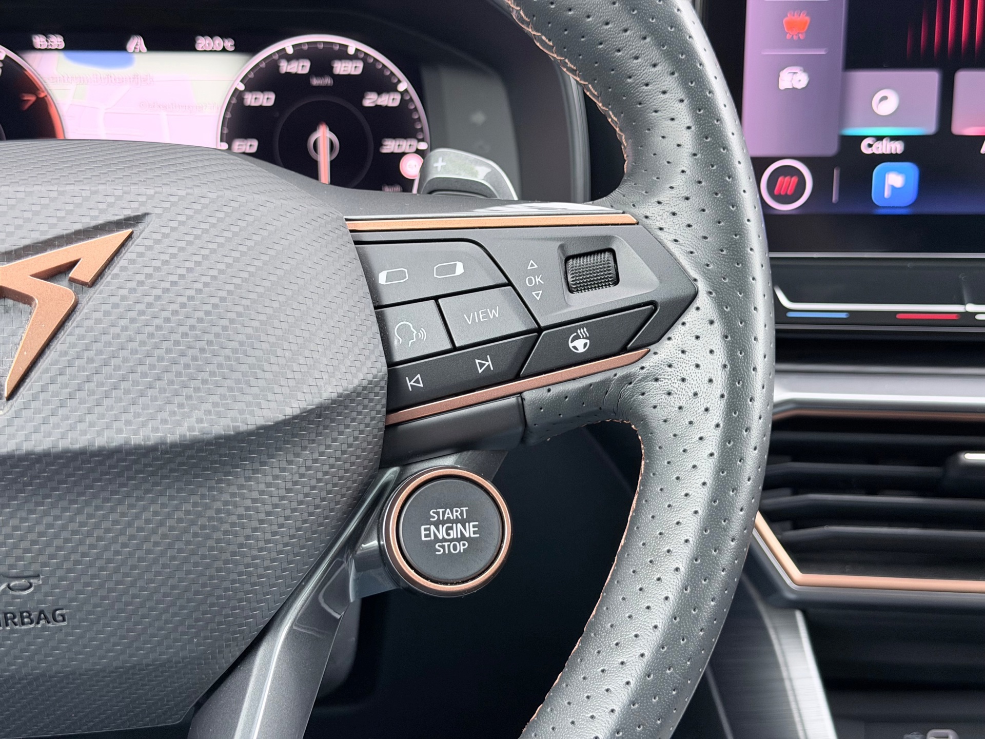 CUPRA FORMENTOR 2.0 TSI 4DRIVE Beats (2022), foto 18