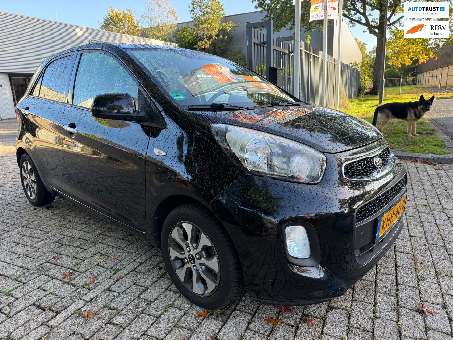 Kia PICANTO 1.0 CVVT DynamicLine (2016), foto 1
