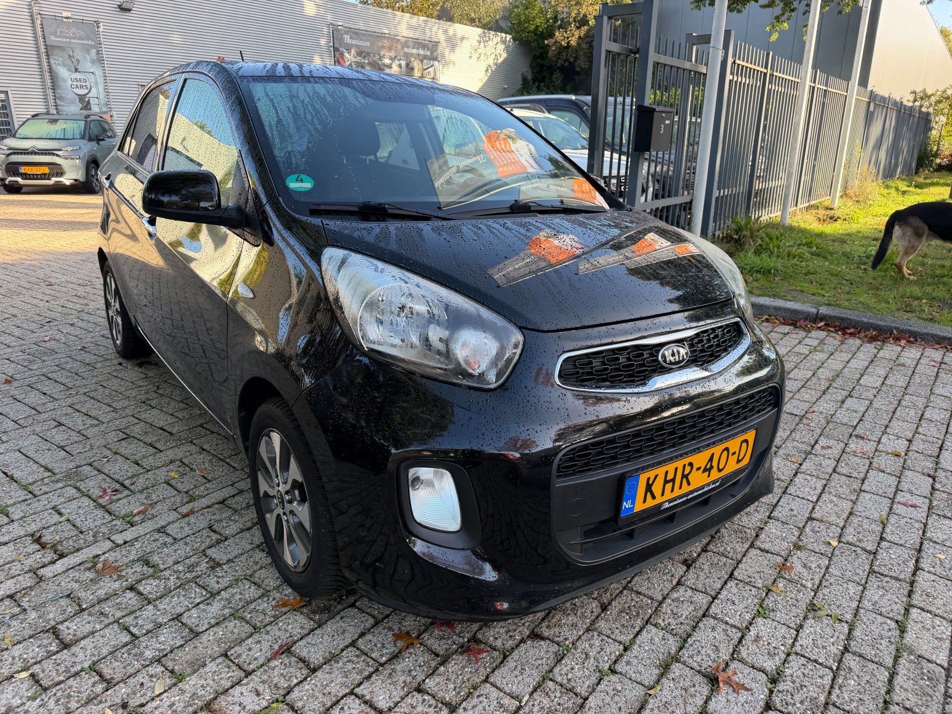 Kia PICANTO 1.0 CVVT DynamicLine (2016), foto 2