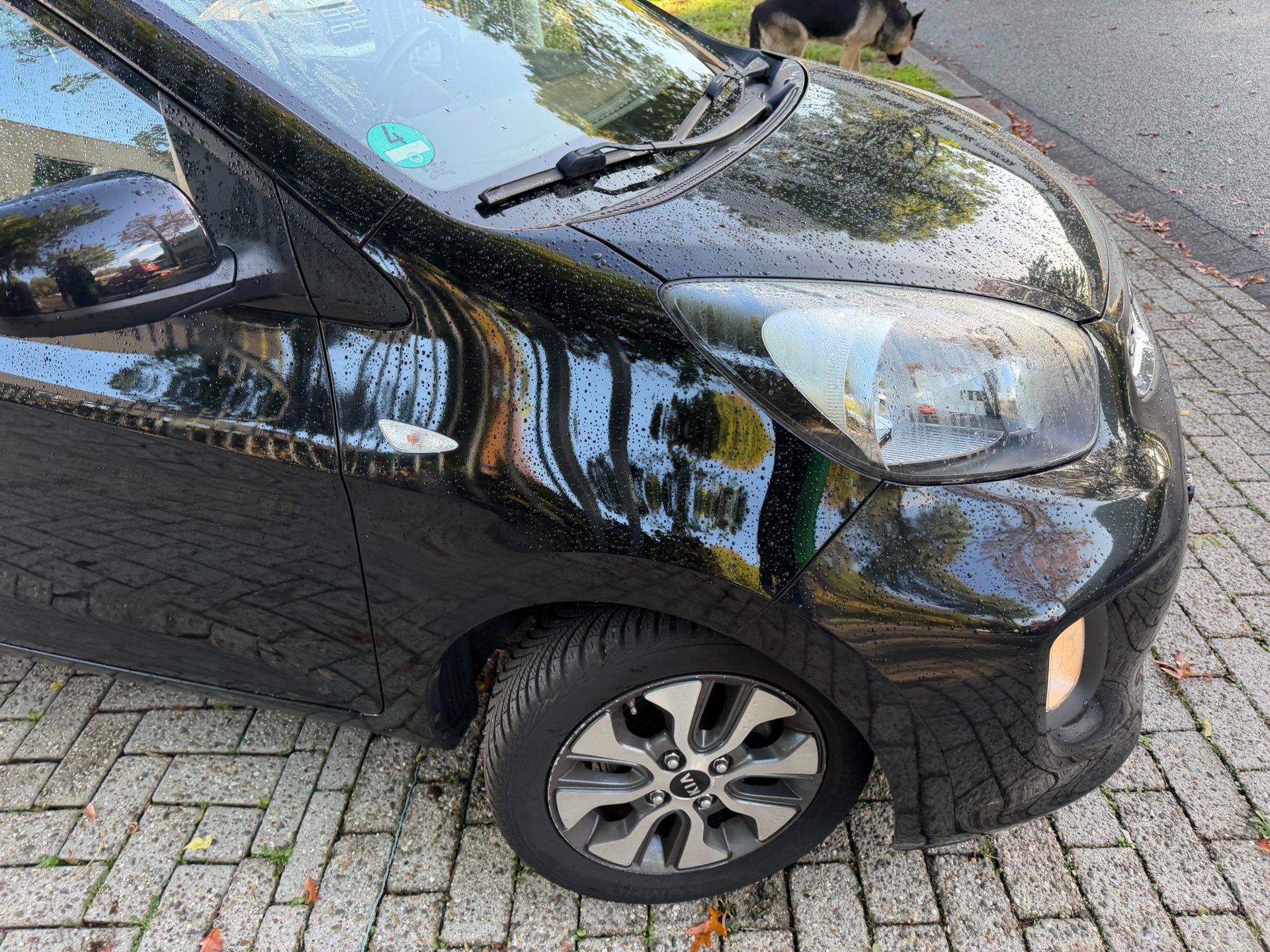 Kia PICANTO 1.0 CVVT DynamicLine (2016), foto 97