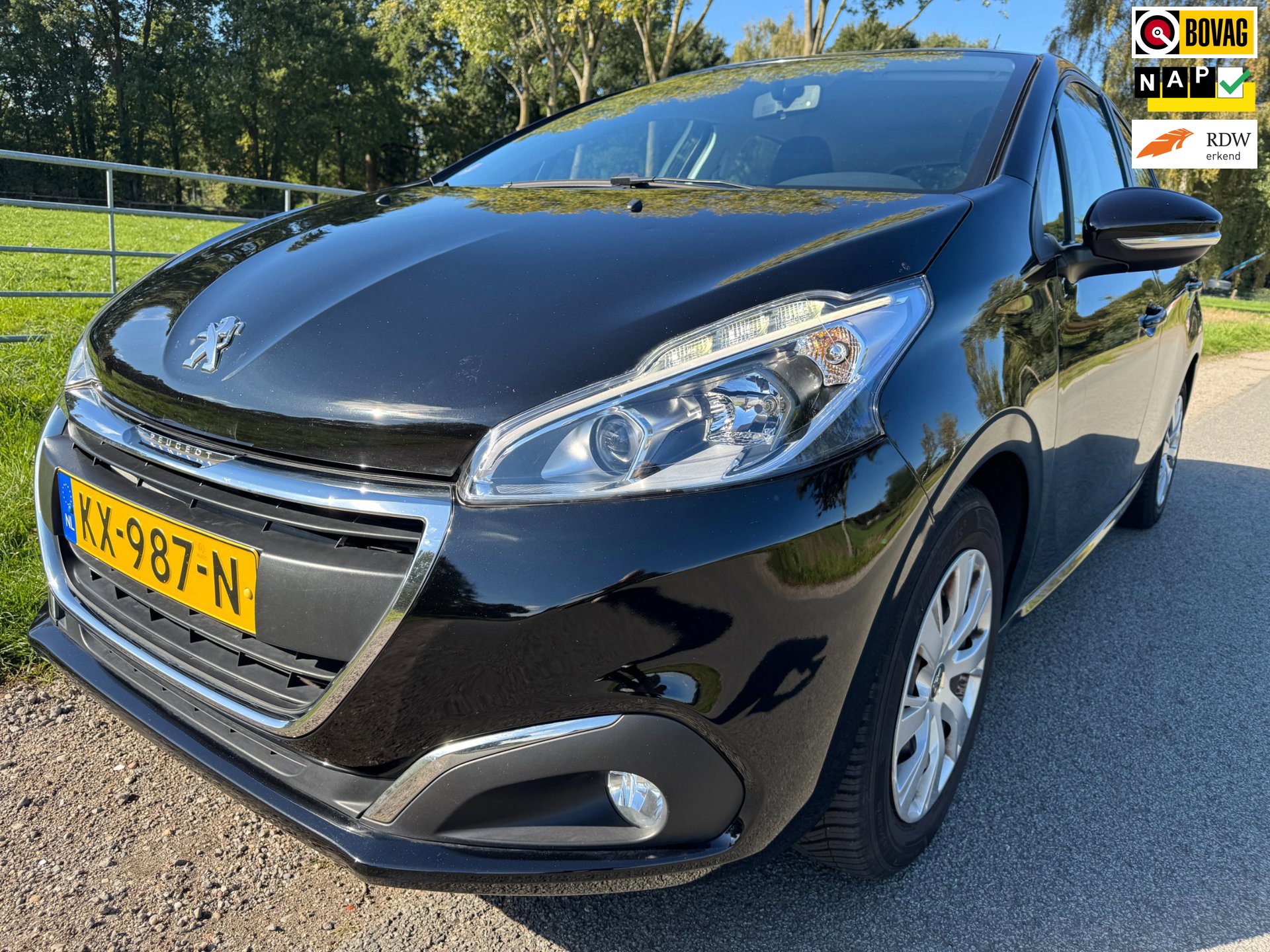 Peugeot 208 1.2 PureTech Blue Lion top (2017), foto 1