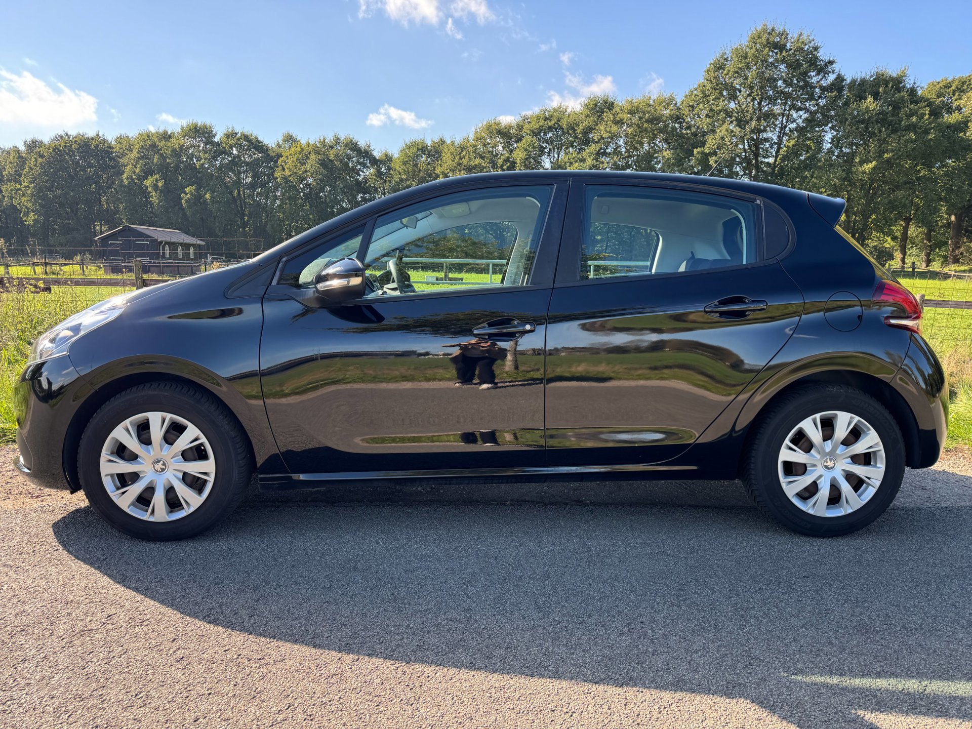Peugeot 208 1.2 PureTech Blue Lion top (2017), foto 3