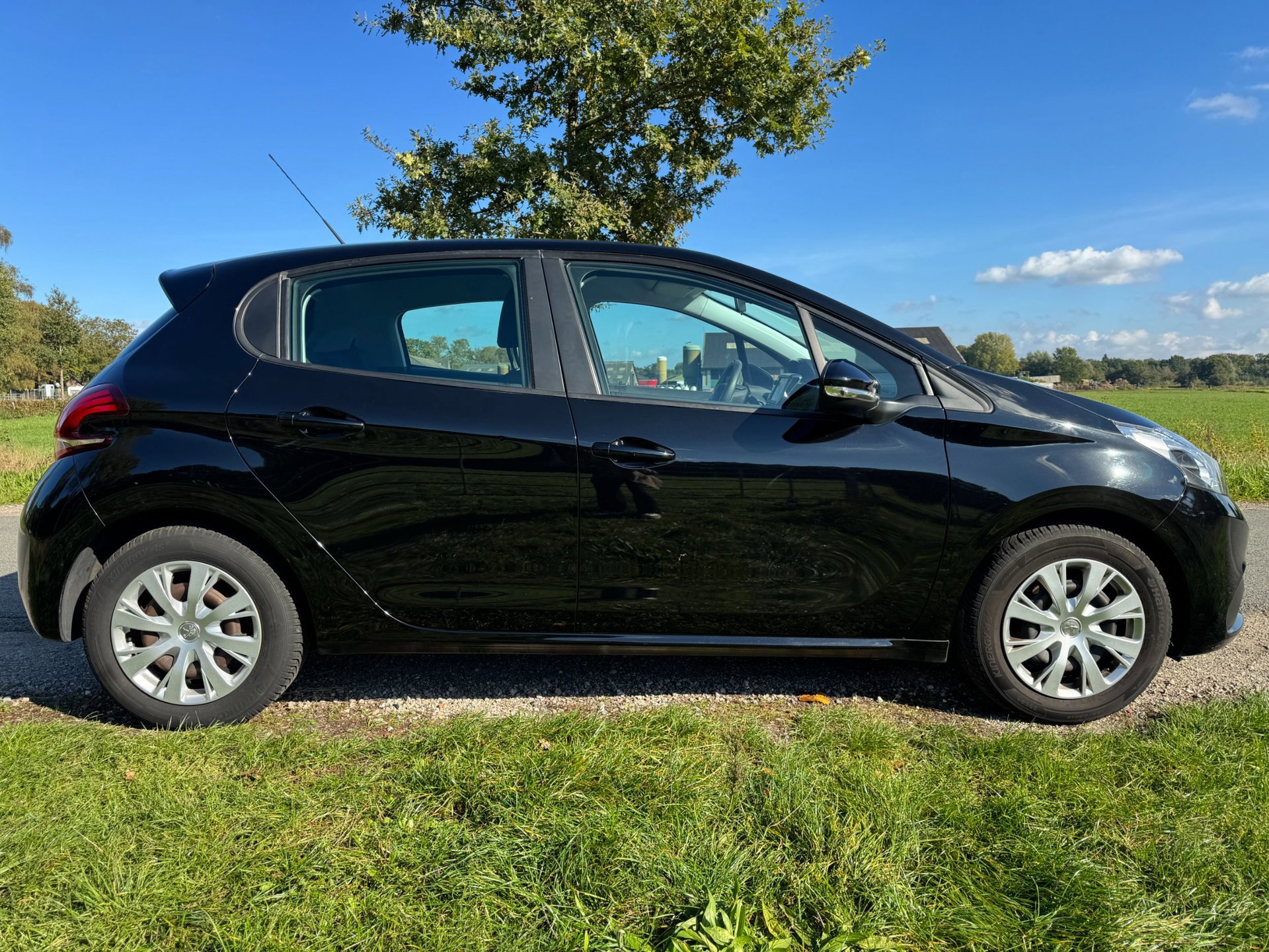Peugeot 208 1.2 PureTech Blue Lion top (2017), foto 4