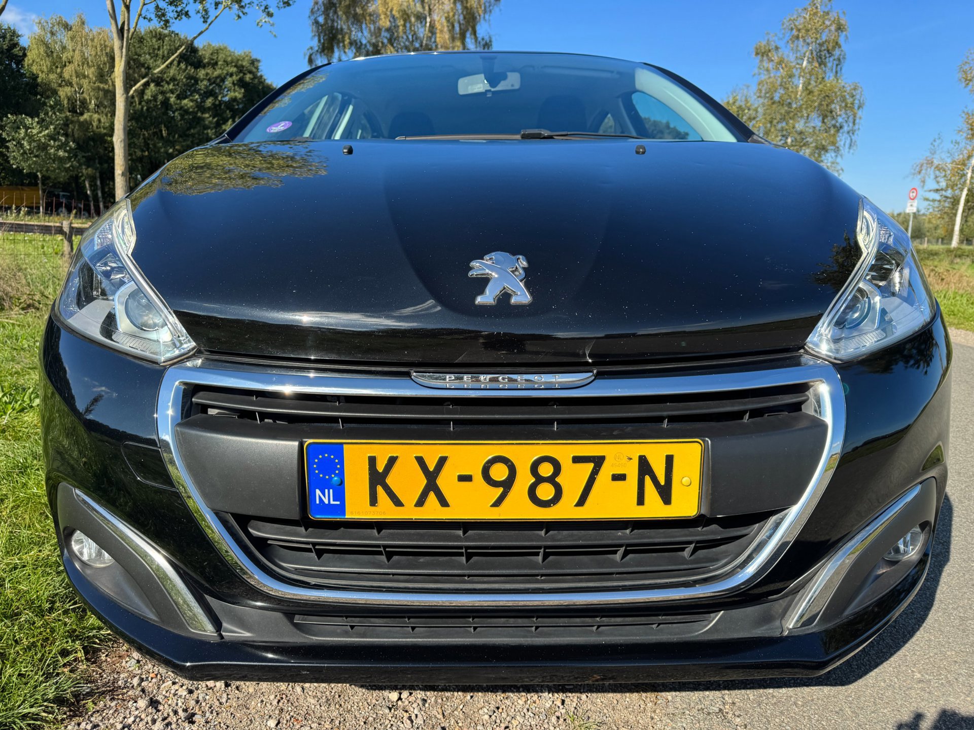 Peugeot 208 1.2 PureTech Blue Lion top (2017), foto 5