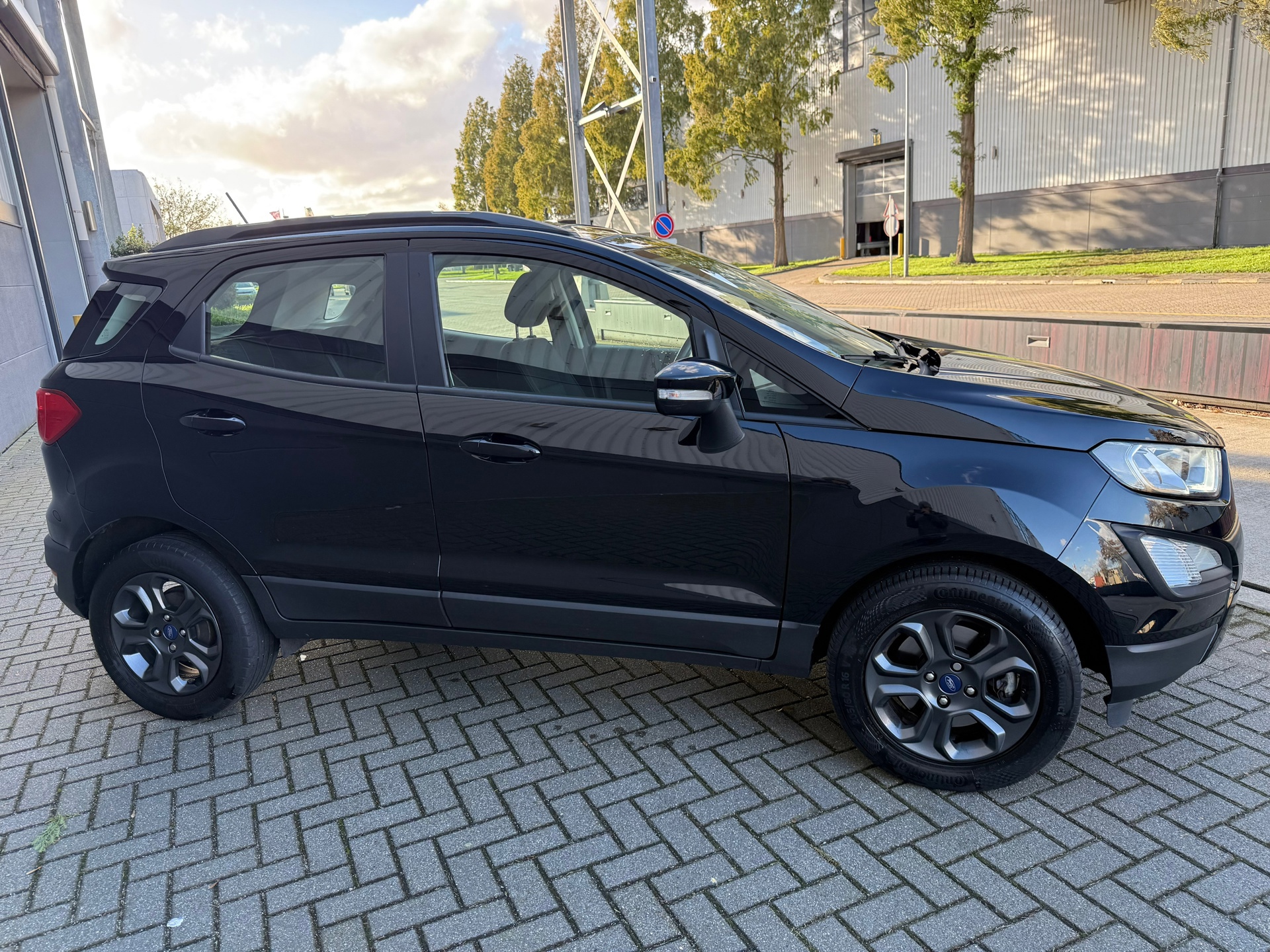 Ford EcoSport 1.0 EcoBoost Trend Ultimate (2018), foto 4