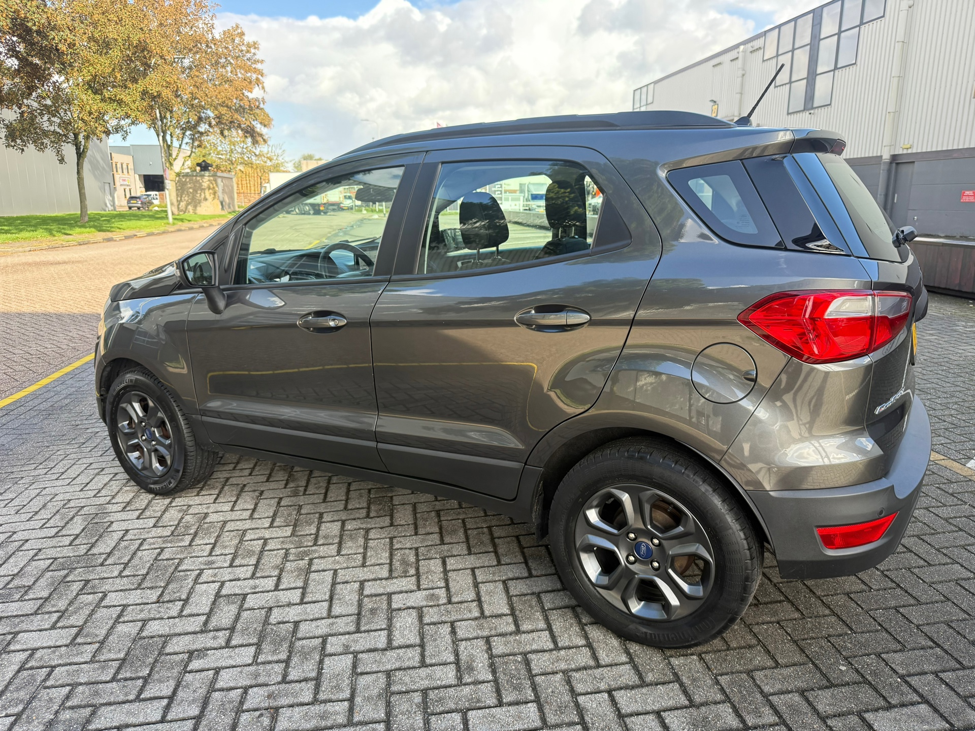 Ford EcoSport 1.0 EcoBoost Trend Ultimate125PK (2019), foto 8