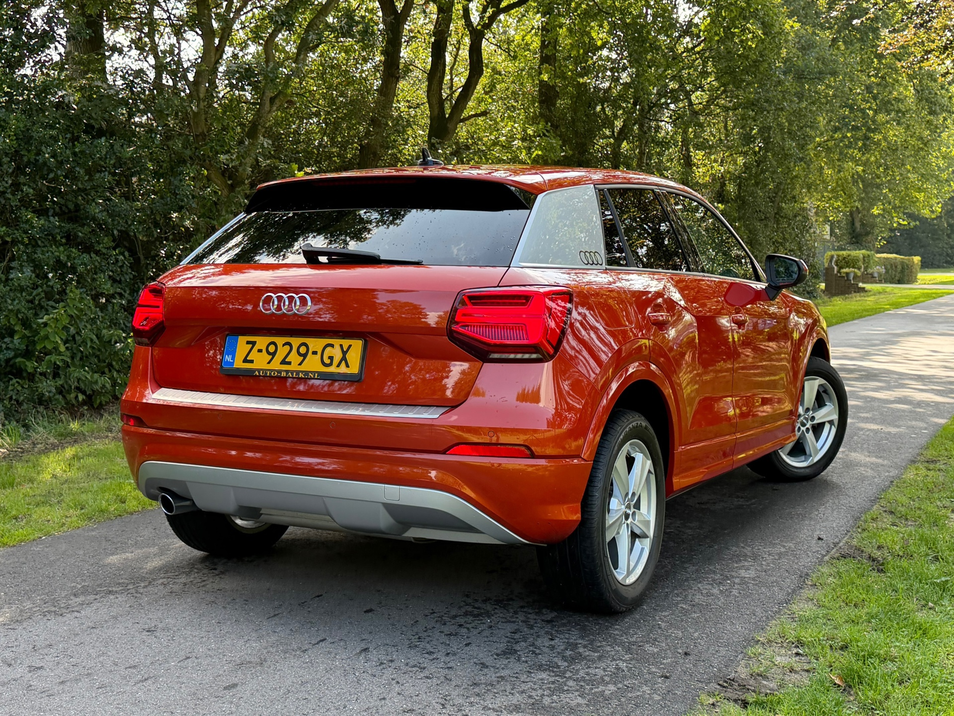 Audi Q2 30 TFSI Design Pro Line (2019), foto 5