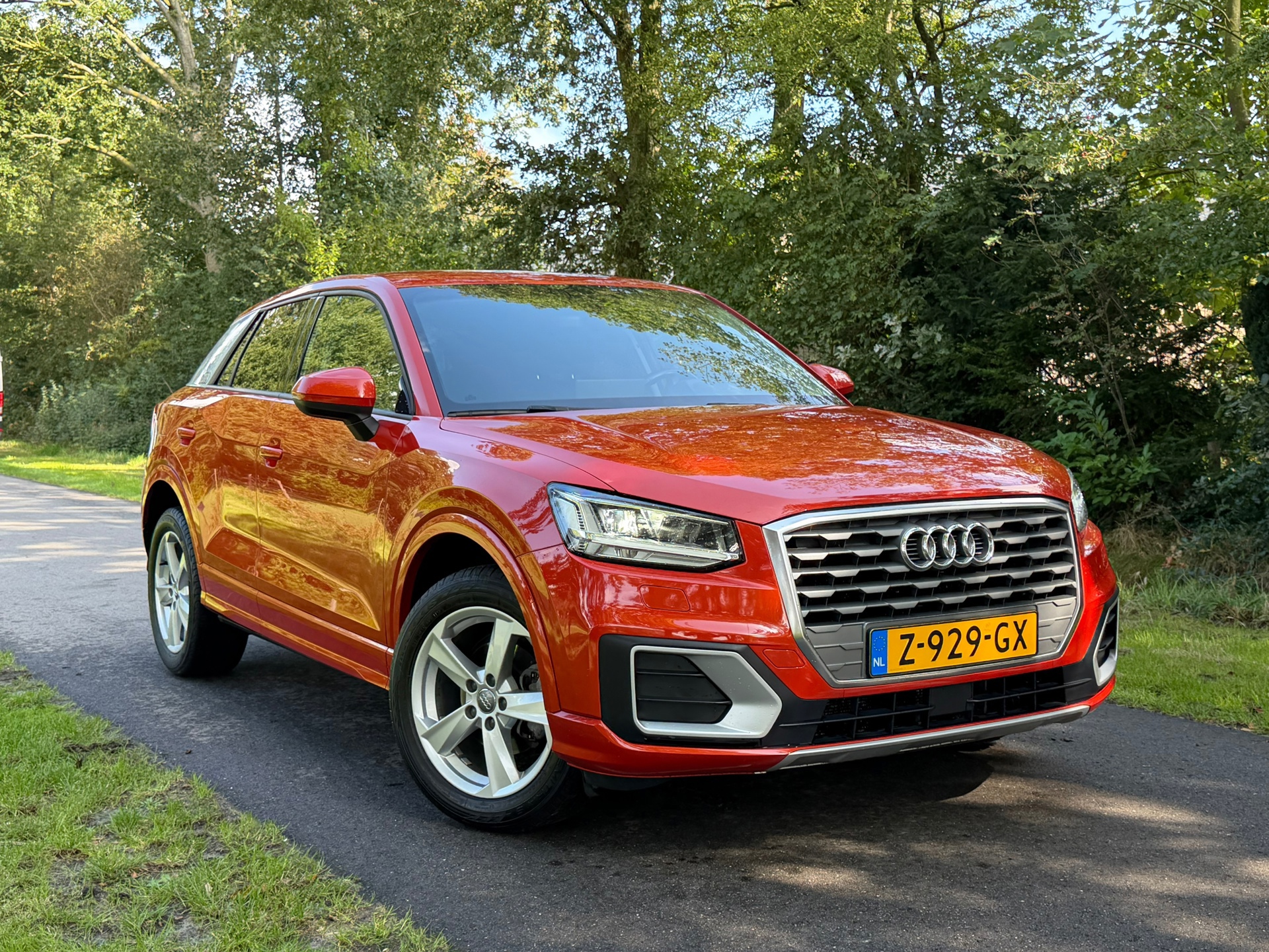 Audi Q2 30 TFSI Design Pro Line (2019), foto 7