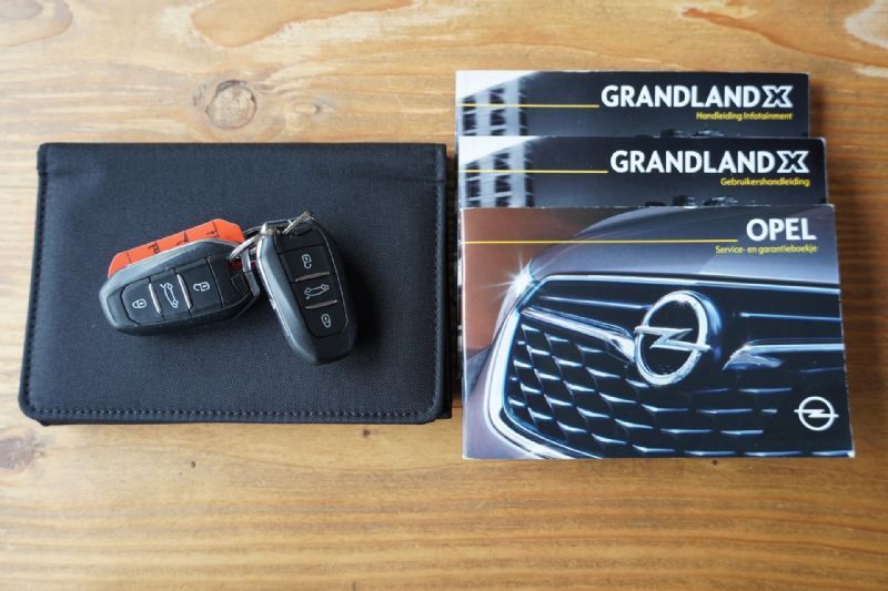 Opel Grandland X X 2019 (2019), foto 26