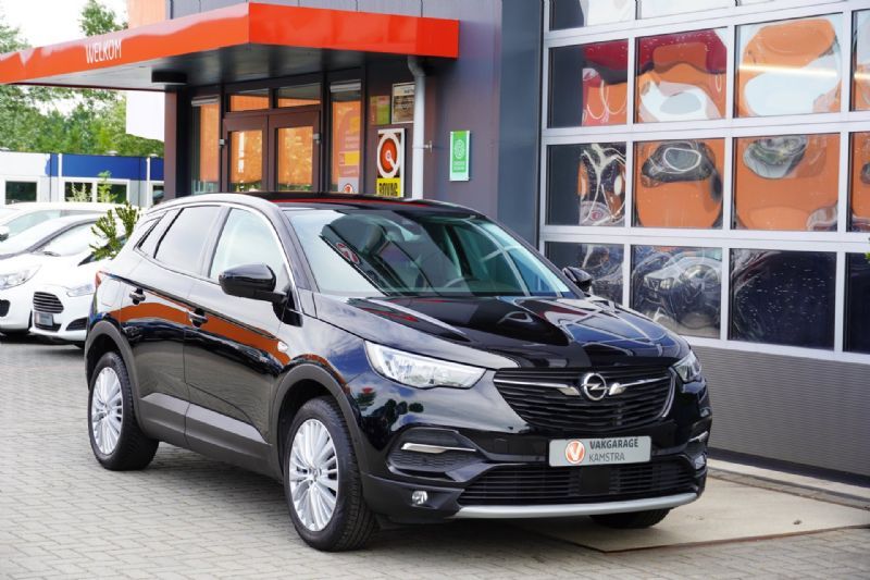 Opel Grandland X X 2019 (2019), foto 8