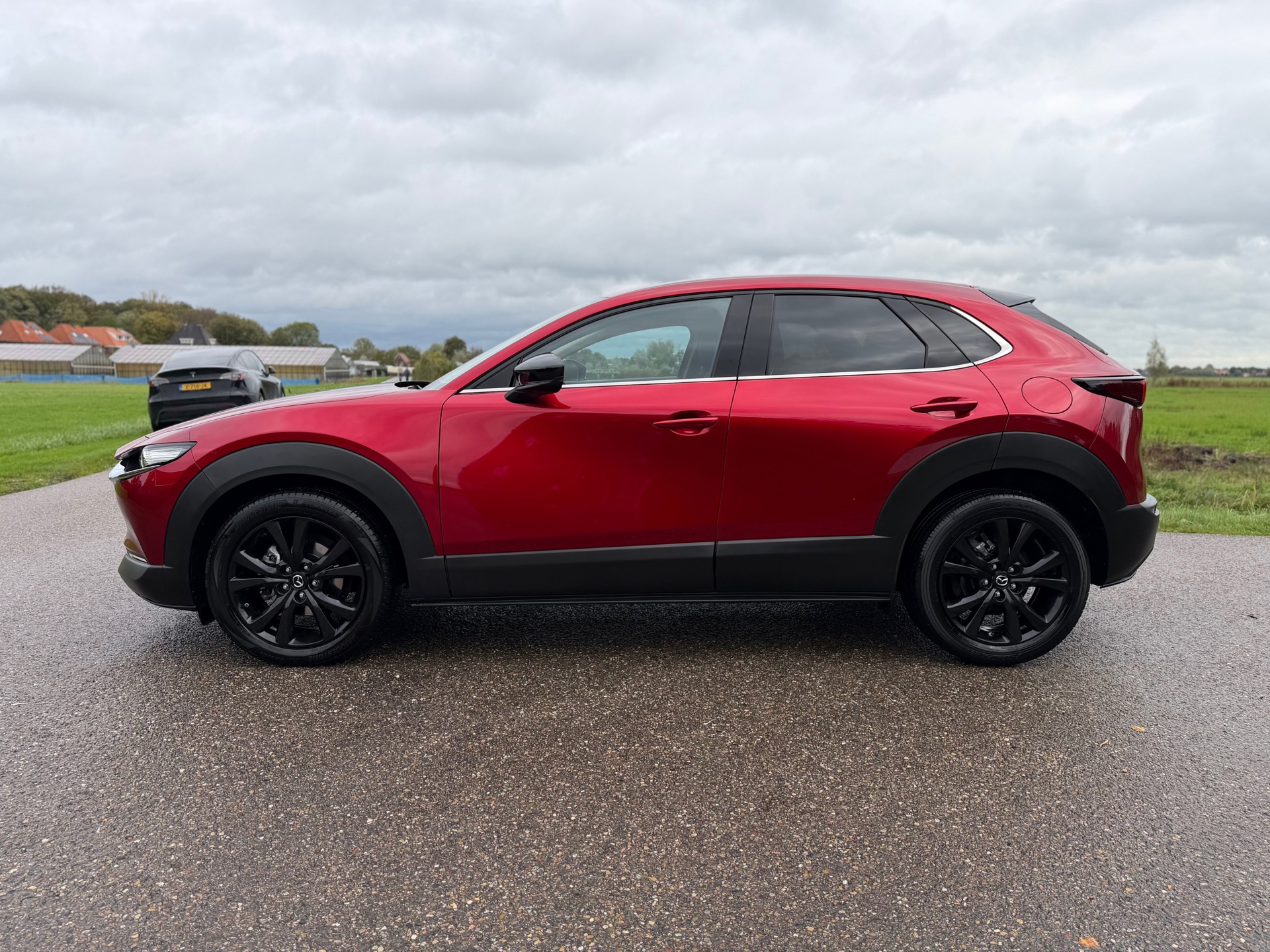 Mazda CX-30 2.0 e-SkyActiv-G M Hybrid Homura (2024), foto 4