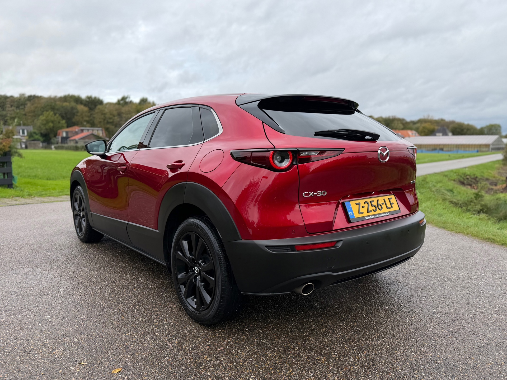 Mazda CX-30 2.0 e-SkyActiv-G M Hybrid Homura (2024), foto 5