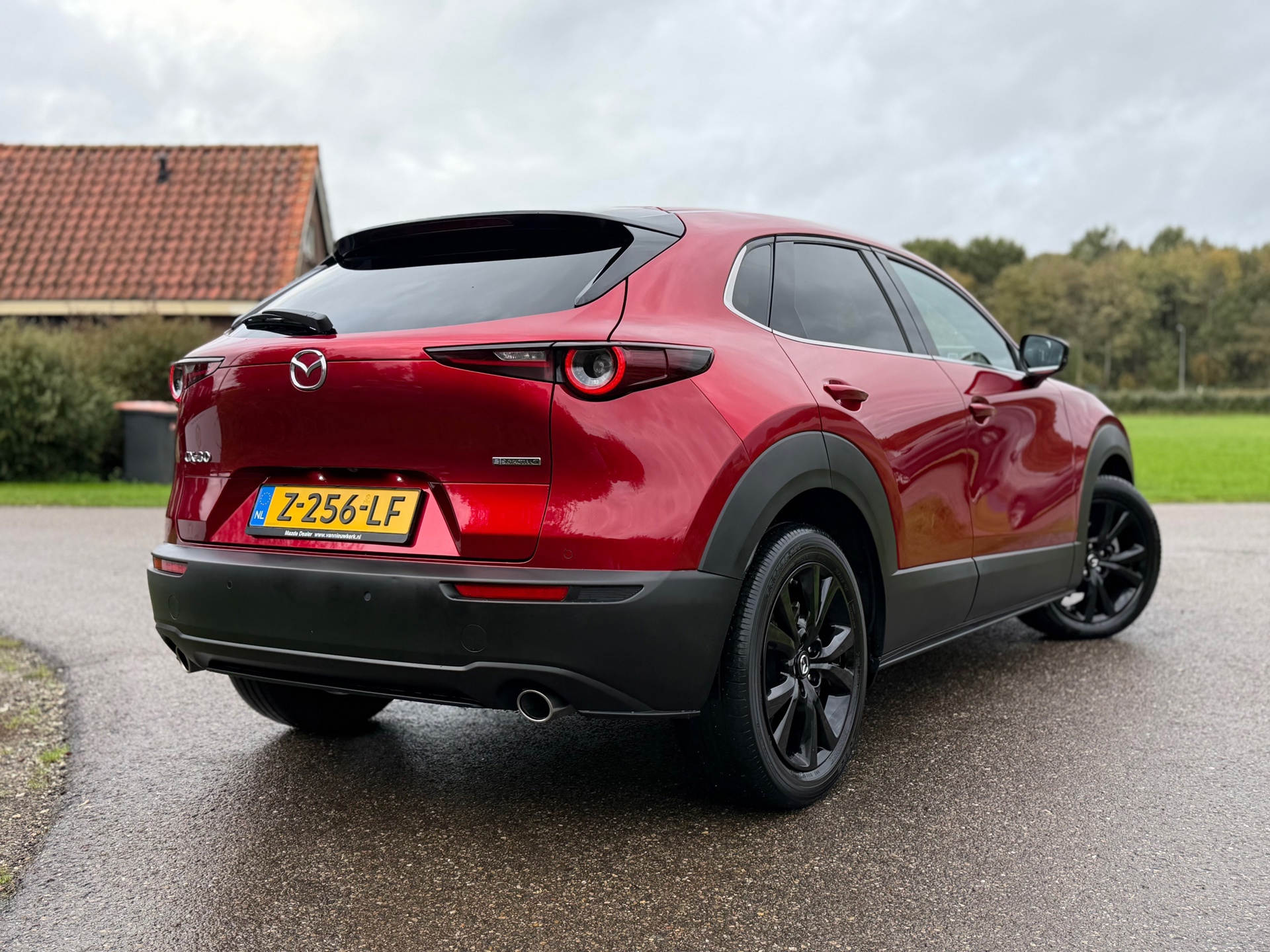 Mazda CX-30 2.0 e-SkyActiv-G M Hybrid Homura (2024), foto 8