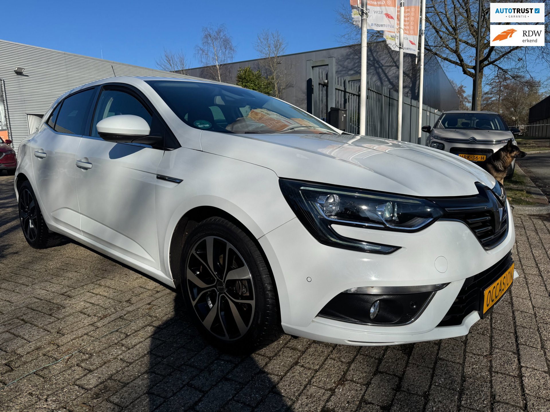 Renault Mégane 1.3 TCe Bose camera (2019), foto 1