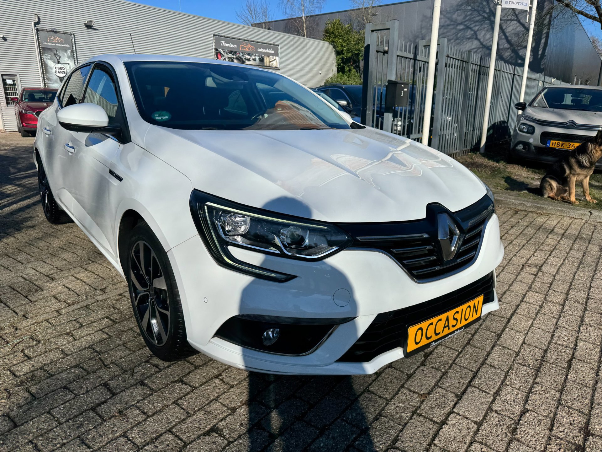 Renault Mégane 1.3 TCe Bose camera (2019), foto 2