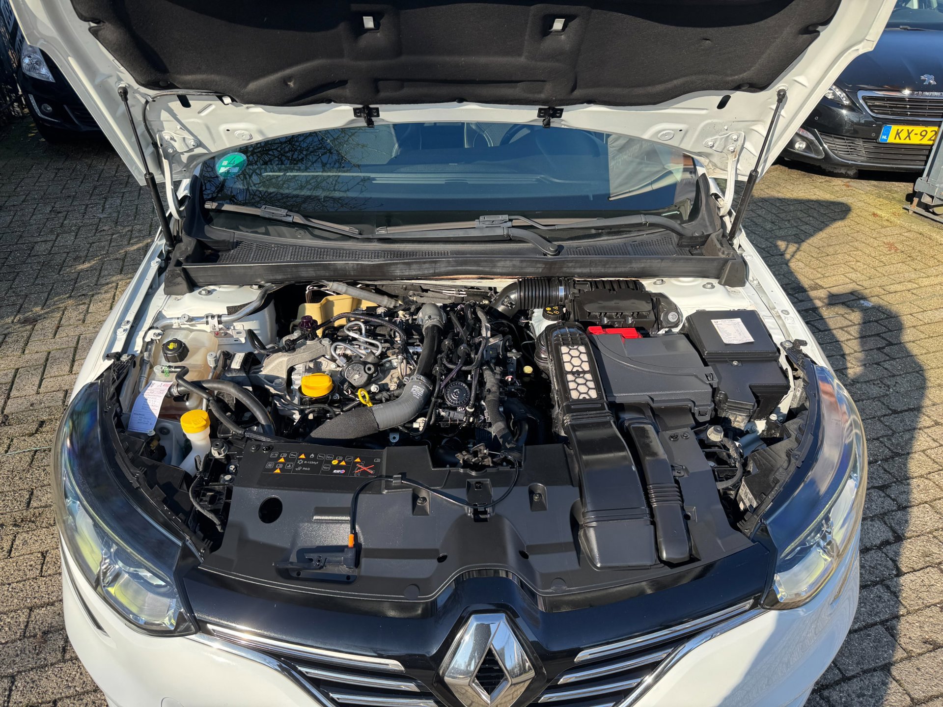Renault Mégane 1.3 TCe Bose camera (2019), foto 112