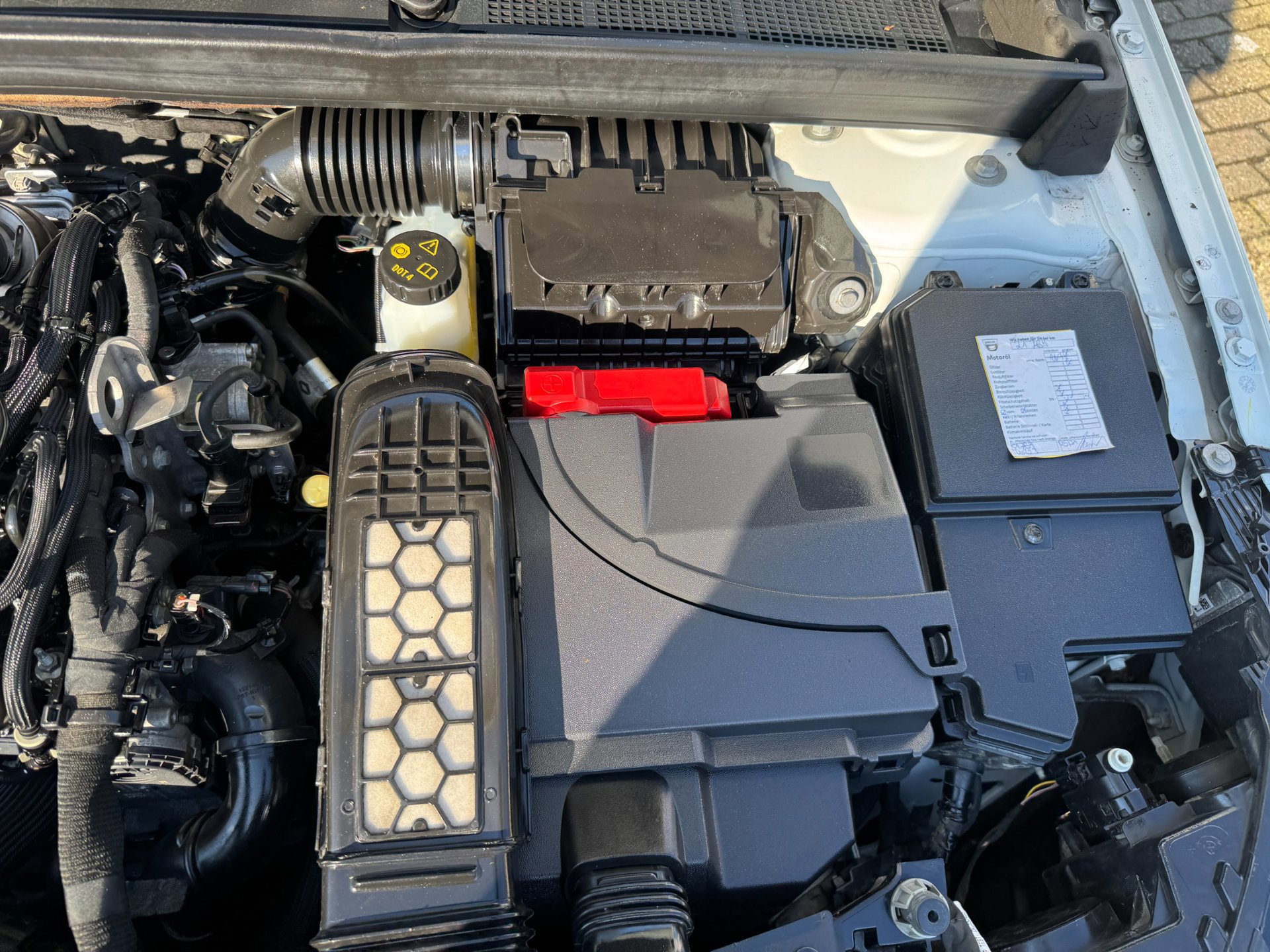 Renault Mégane 1.3 TCe Bose camera (2019), foto 114