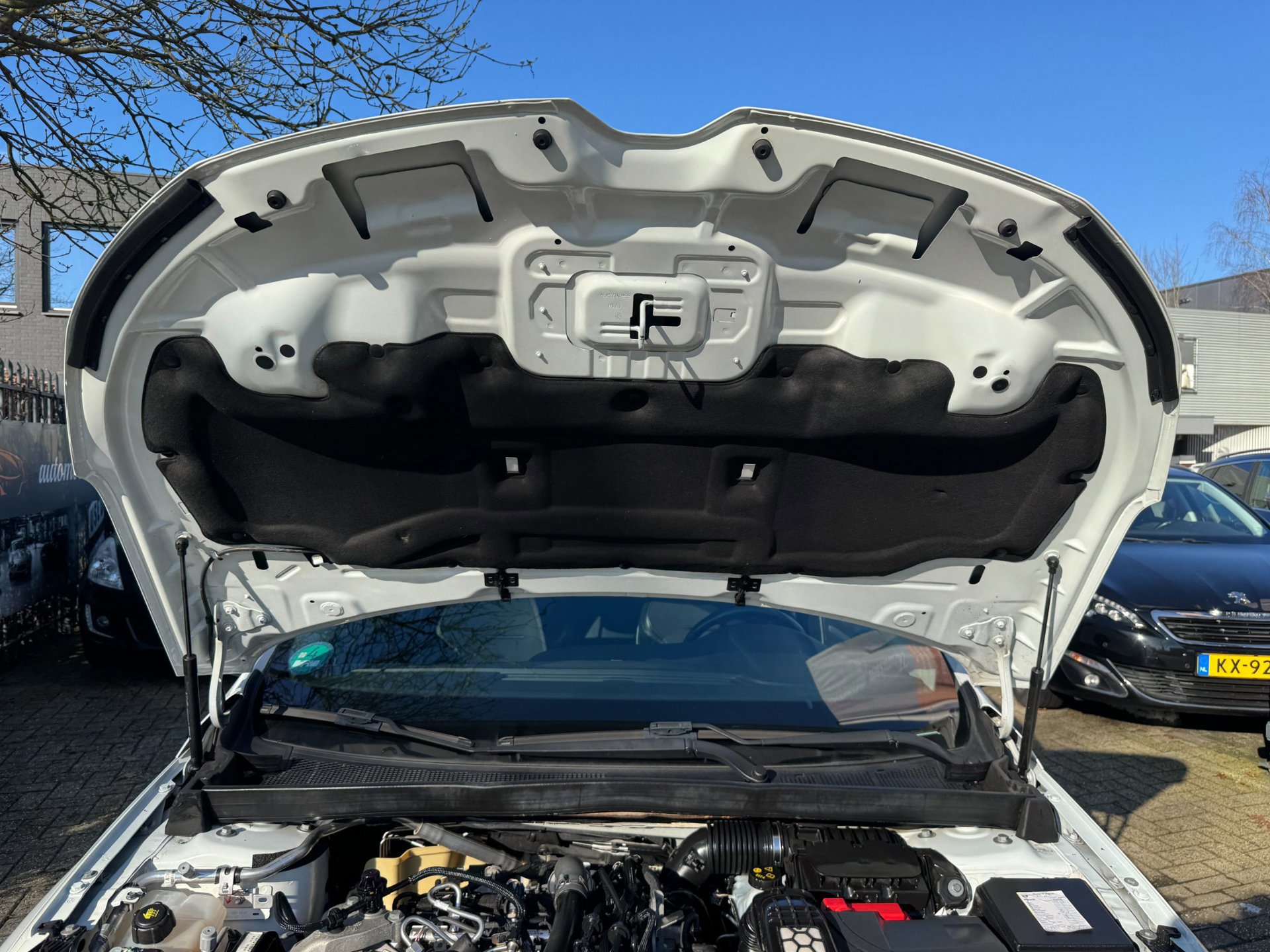 Renault Mégane 1.3 TCe Bose camera (2019), foto 122