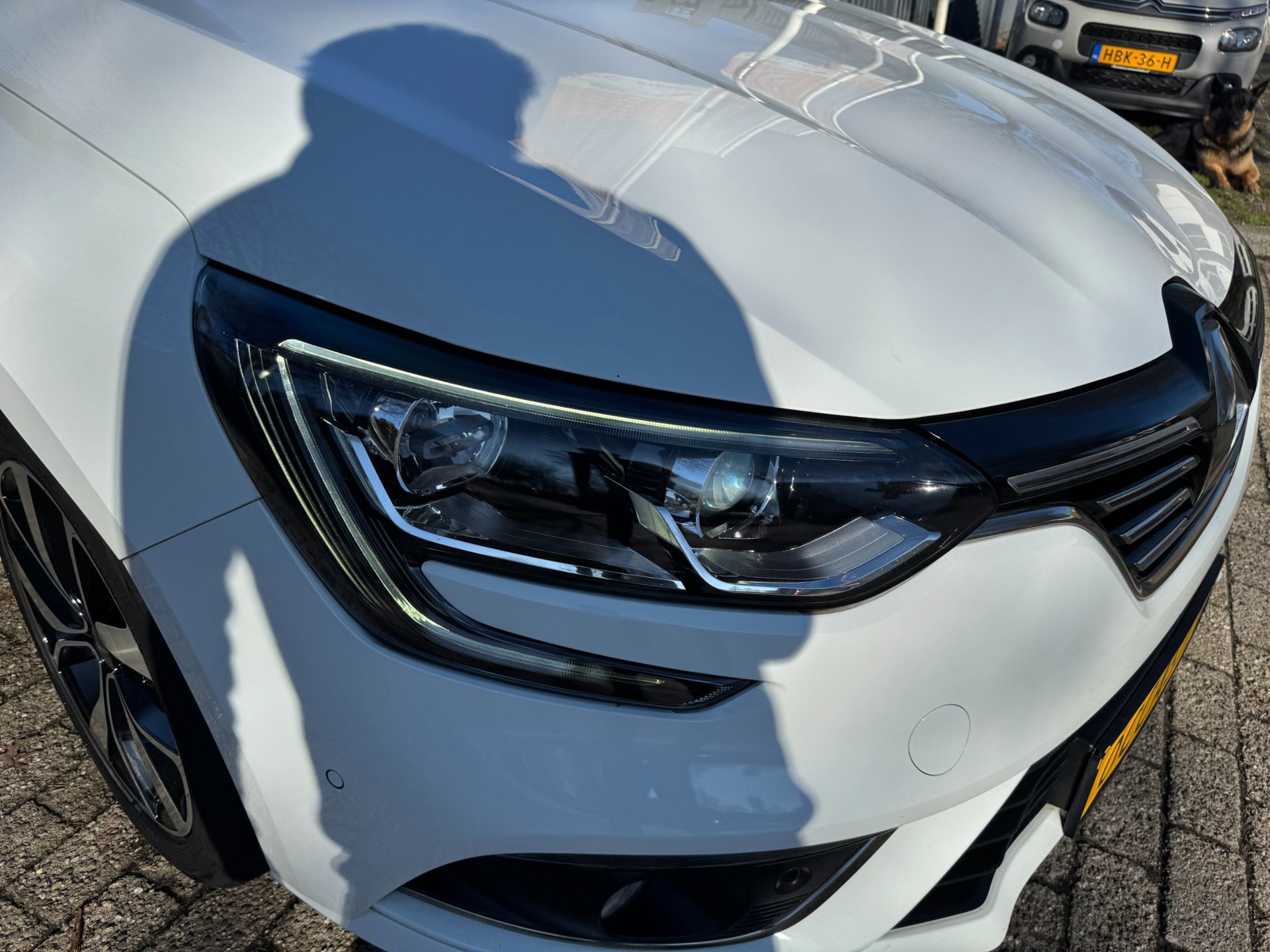 Renault Mégane 1.3 TCe Bose camera (2019), foto 133
