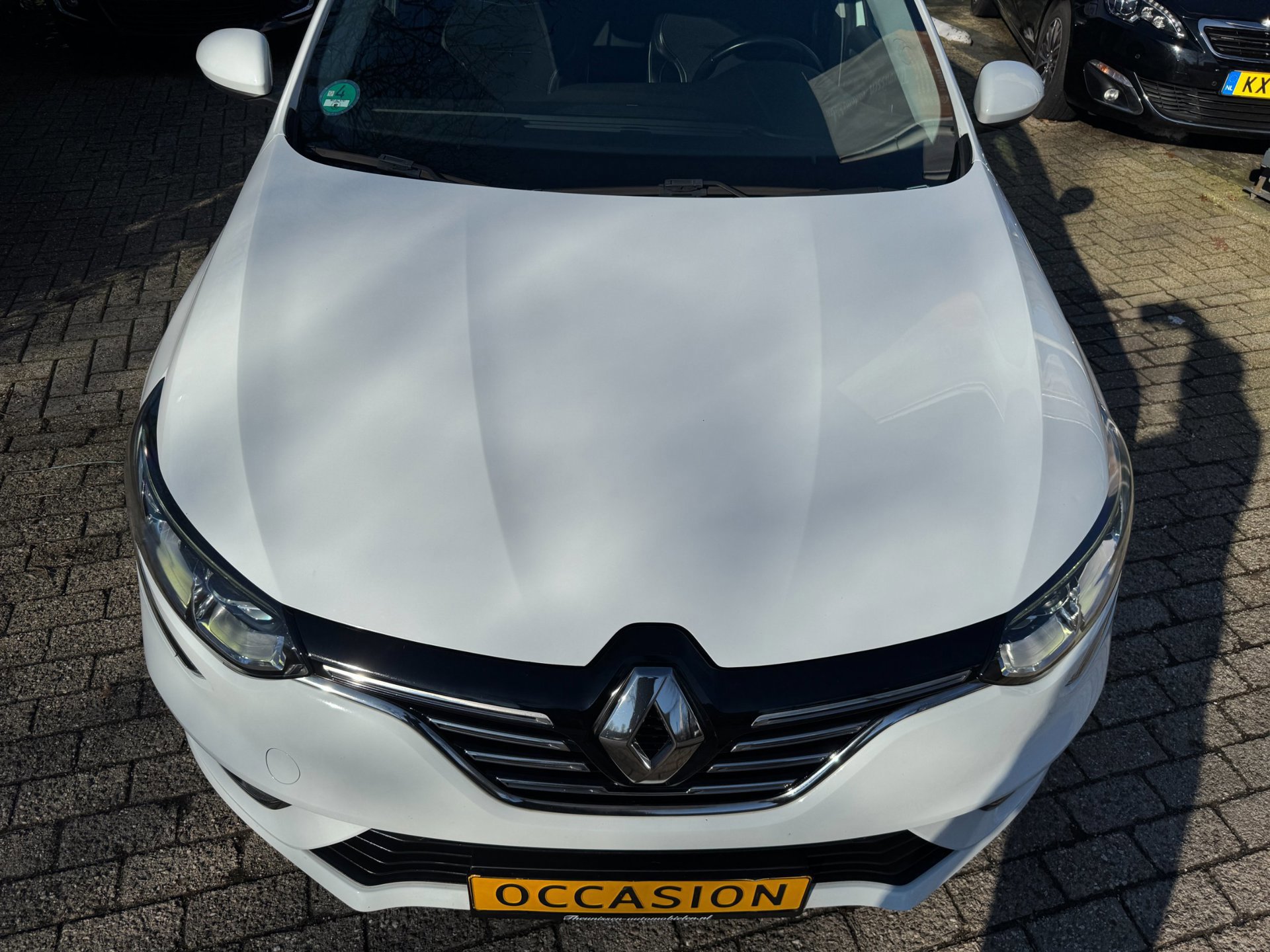 Renault Mégane 1.3 TCe Bose camera (2019), foto 140